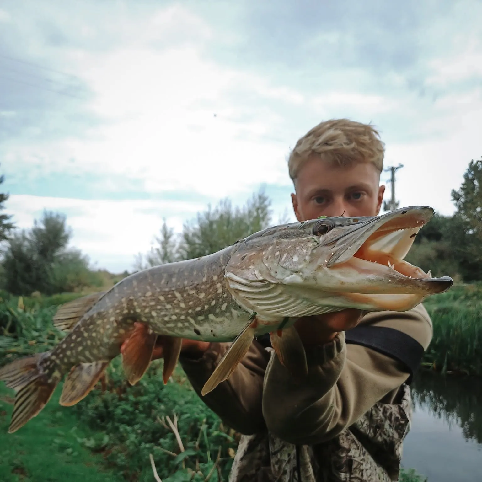 Northern pike caught on Fishbrain