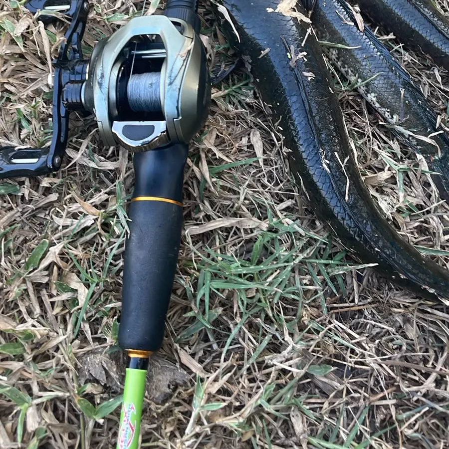 The most recent Striped snakehead catches on Fishbrain