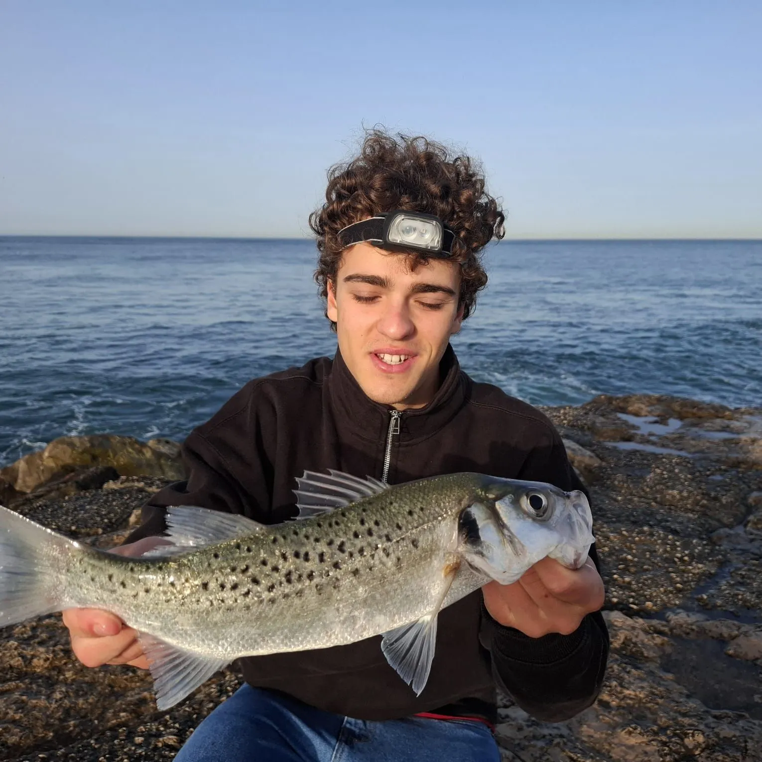 The most recent Spotted seabass catches on Fishbrain
