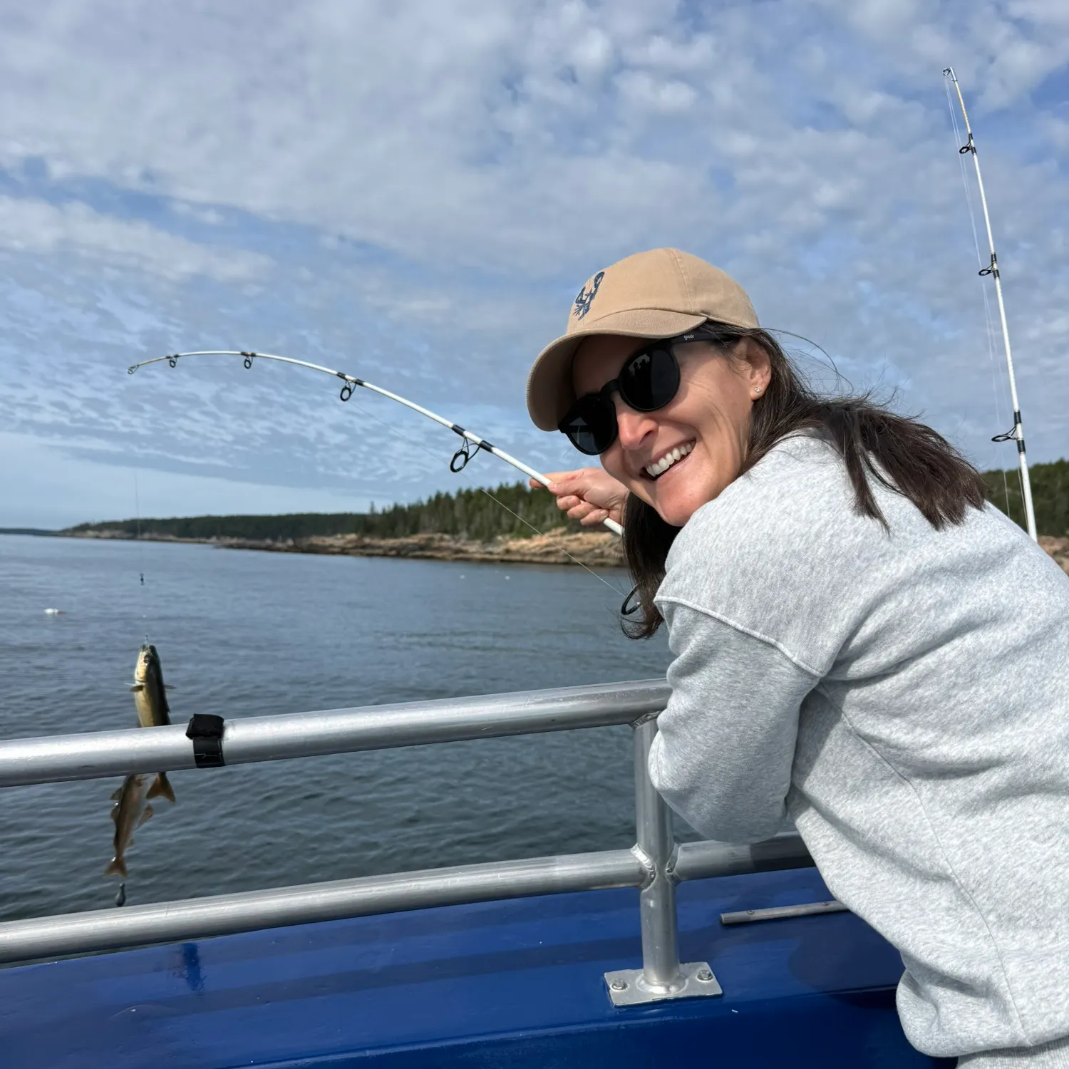 Atlantic mackerel caught on Fishbrain