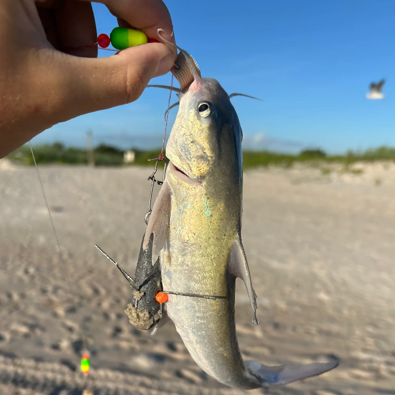 catch