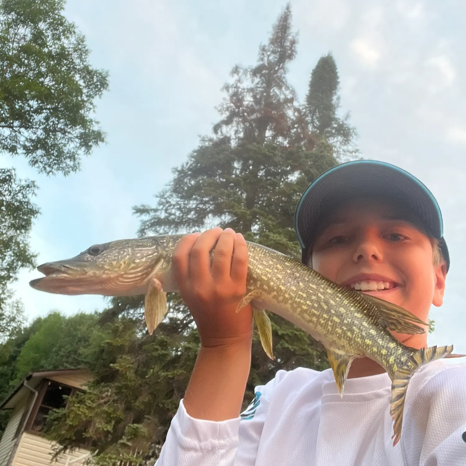 The most recent Northern pike catches on Fishbrain