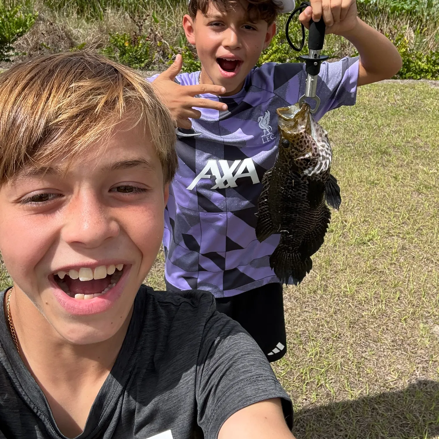 The most recent Jaguar cichlid catches on Fishbrain