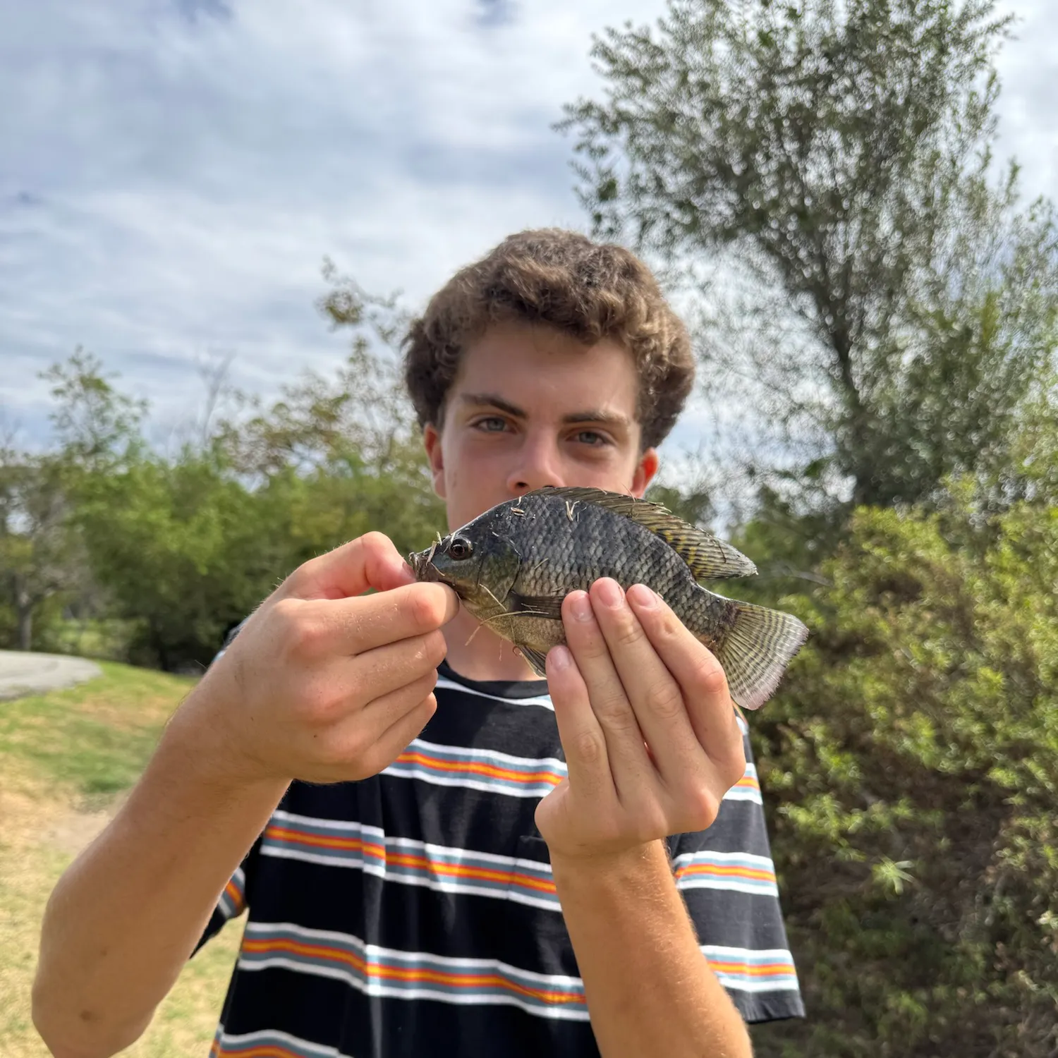 Blue tilapia caught on Fishbrain