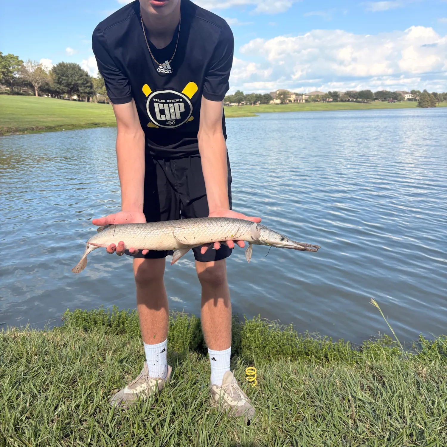 The most recent Alligator gar catches on Fishbrain
