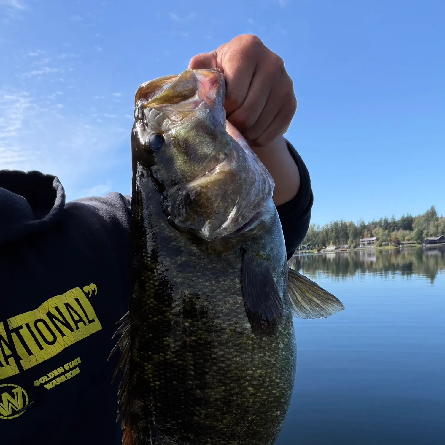 Smallmouth bass caught on Fishbrain