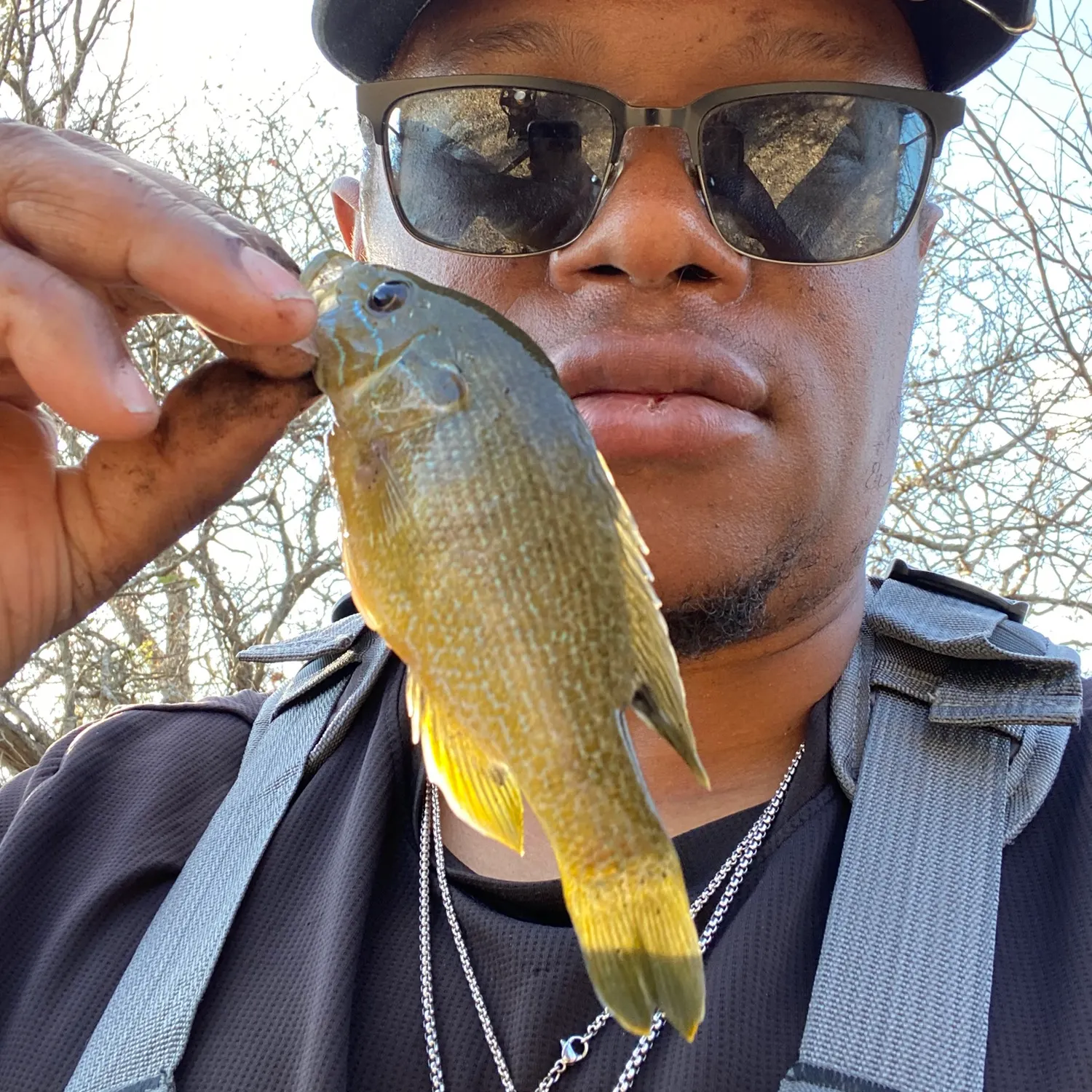The most recent Green sunfish catches on Fishbrain