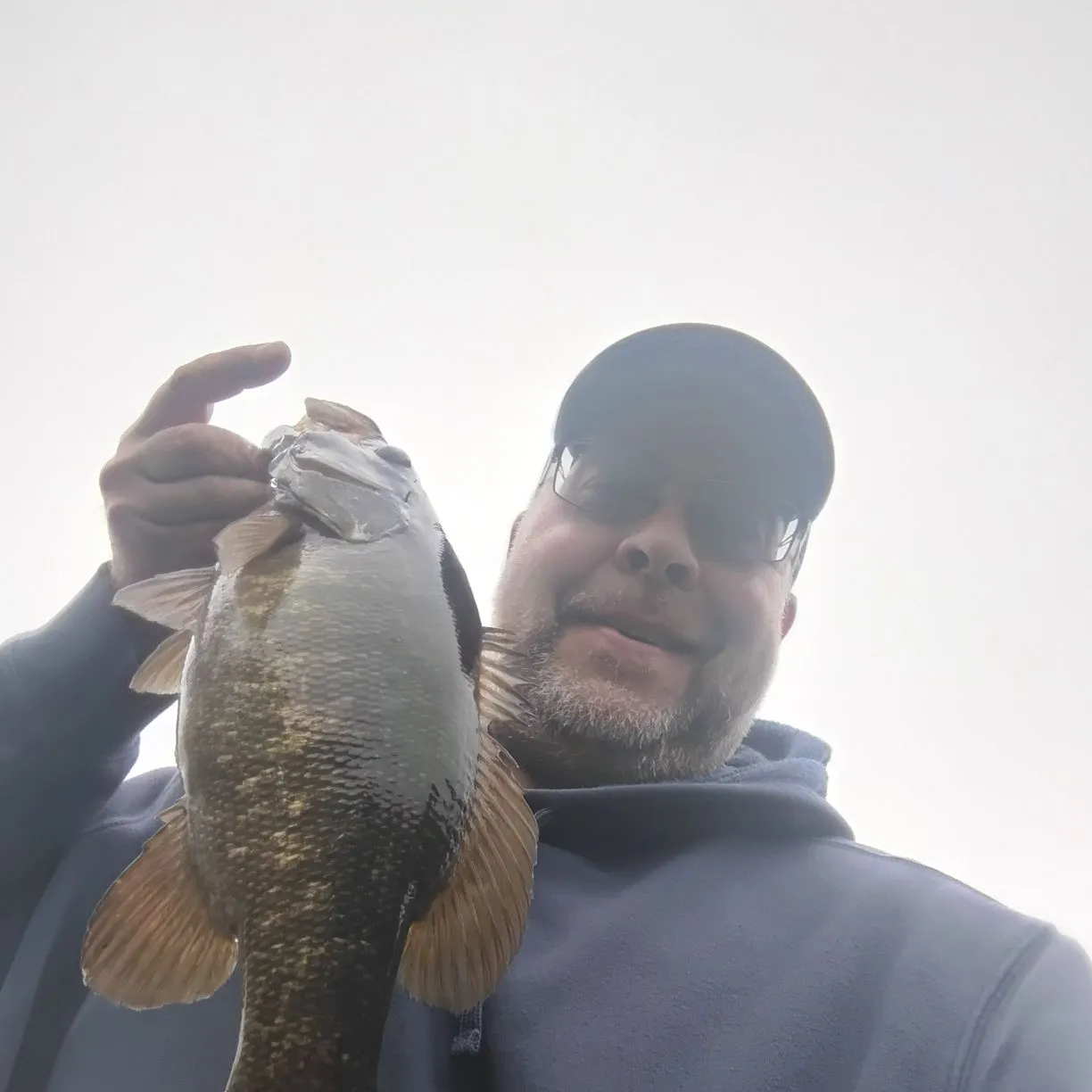 Smallmouth bass caught on Fishbrain