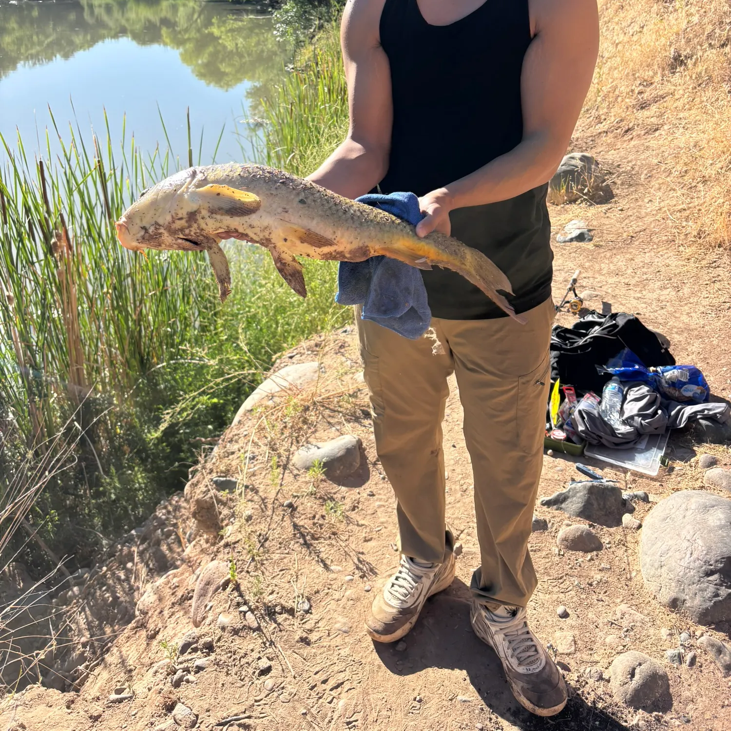 catch