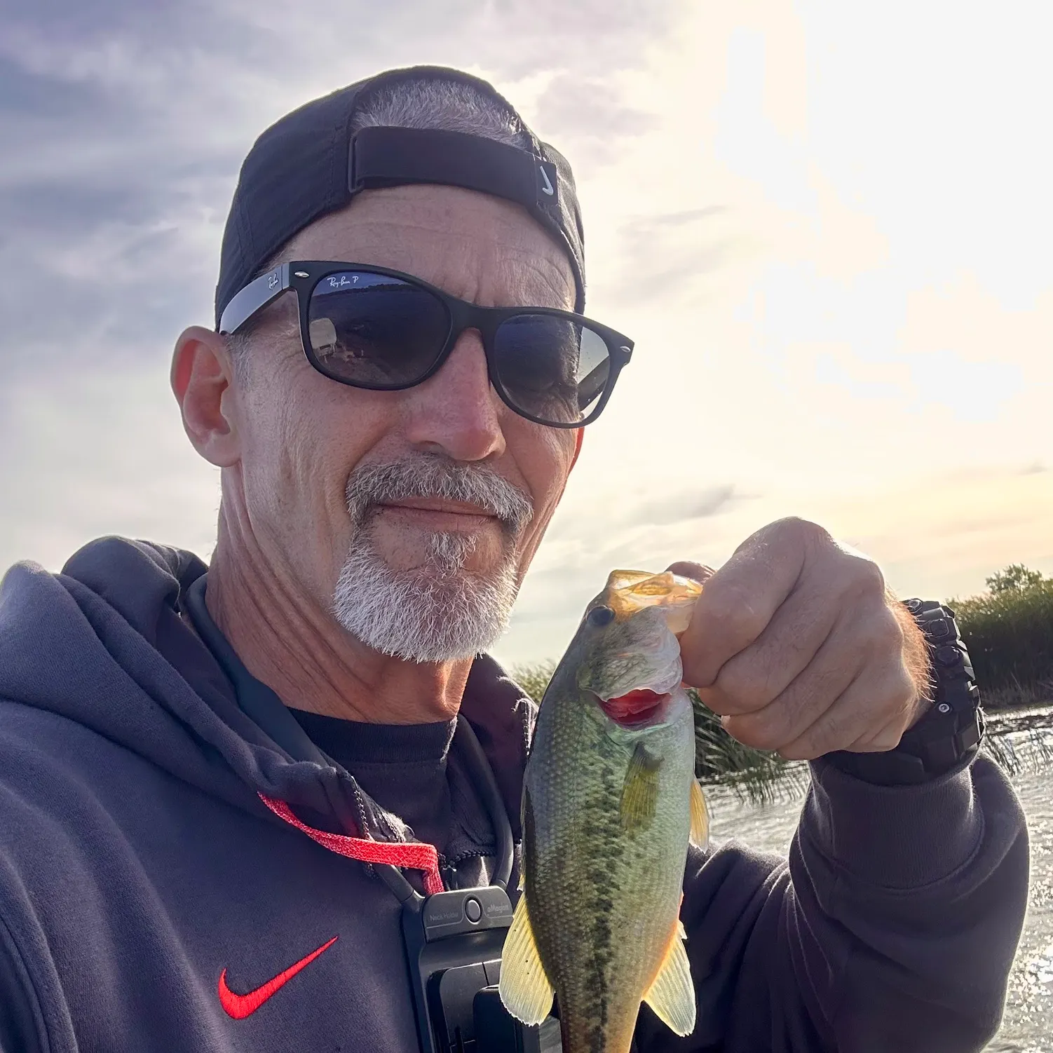 Largemouth bass caught on Fishbrain
