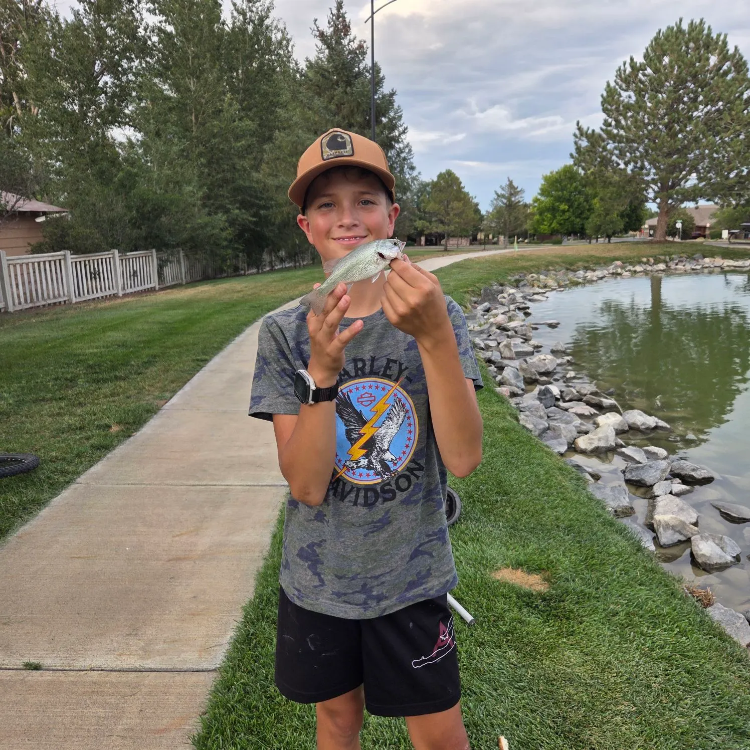 recently logged catches