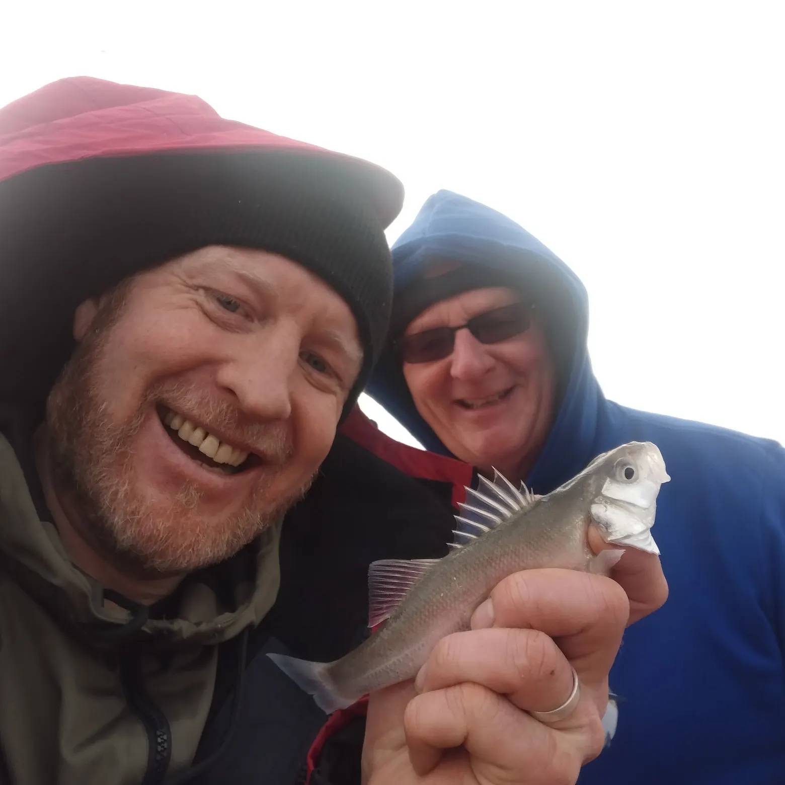 The most recent European seabass catches on Fishbrain