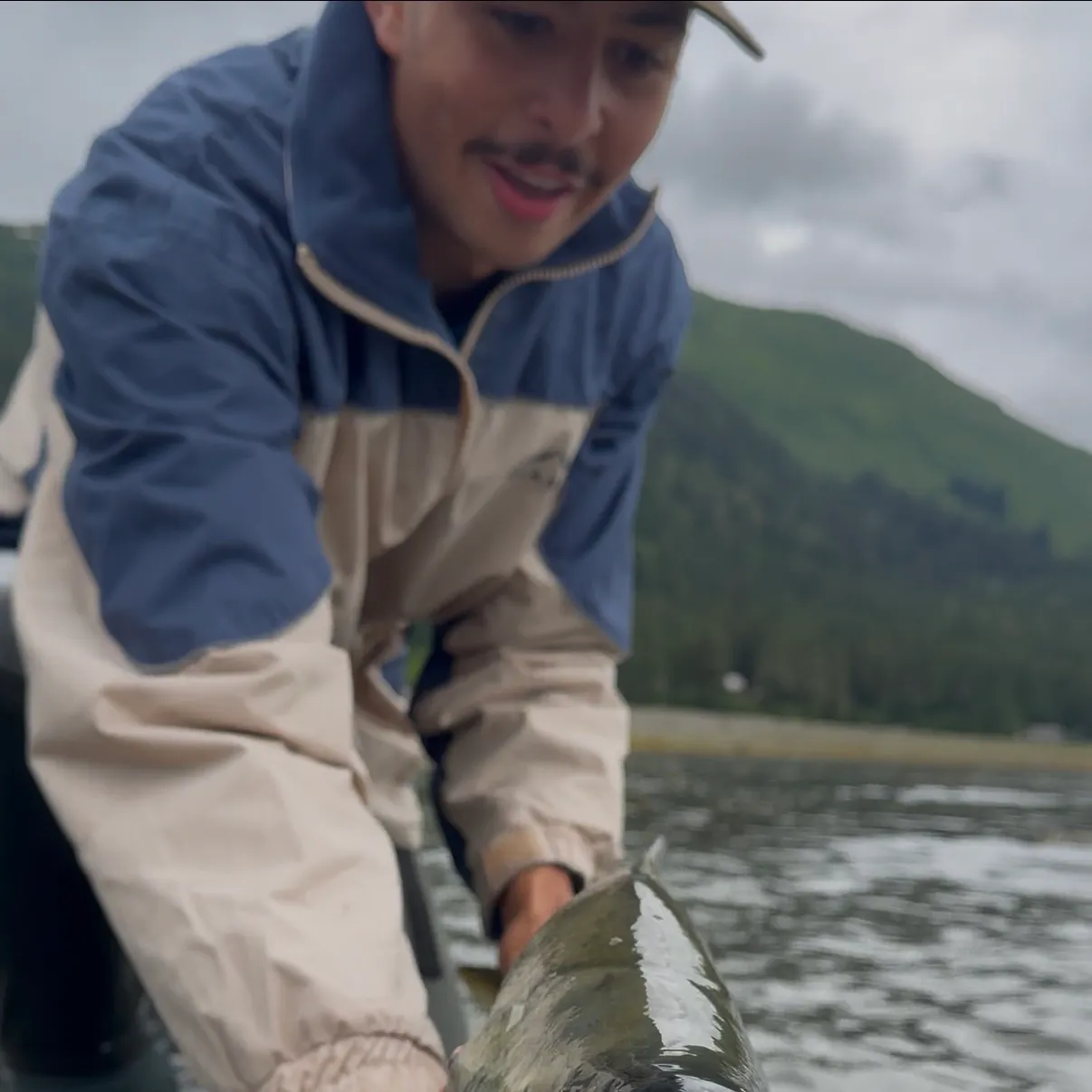 The most recent Chum salmon catches on Fishbrain