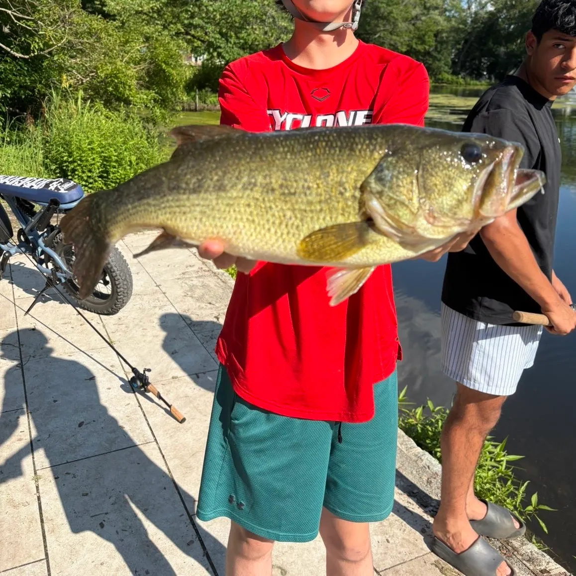 Largemouth bass caught on Fishbrain