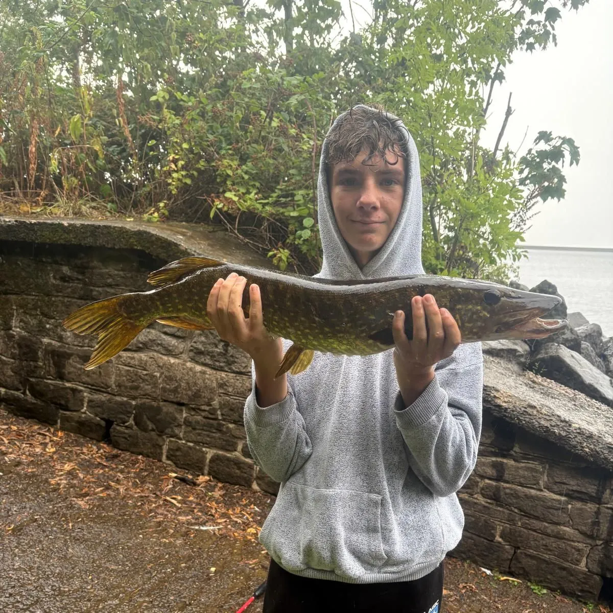 Northern pike caught on Fishbrain