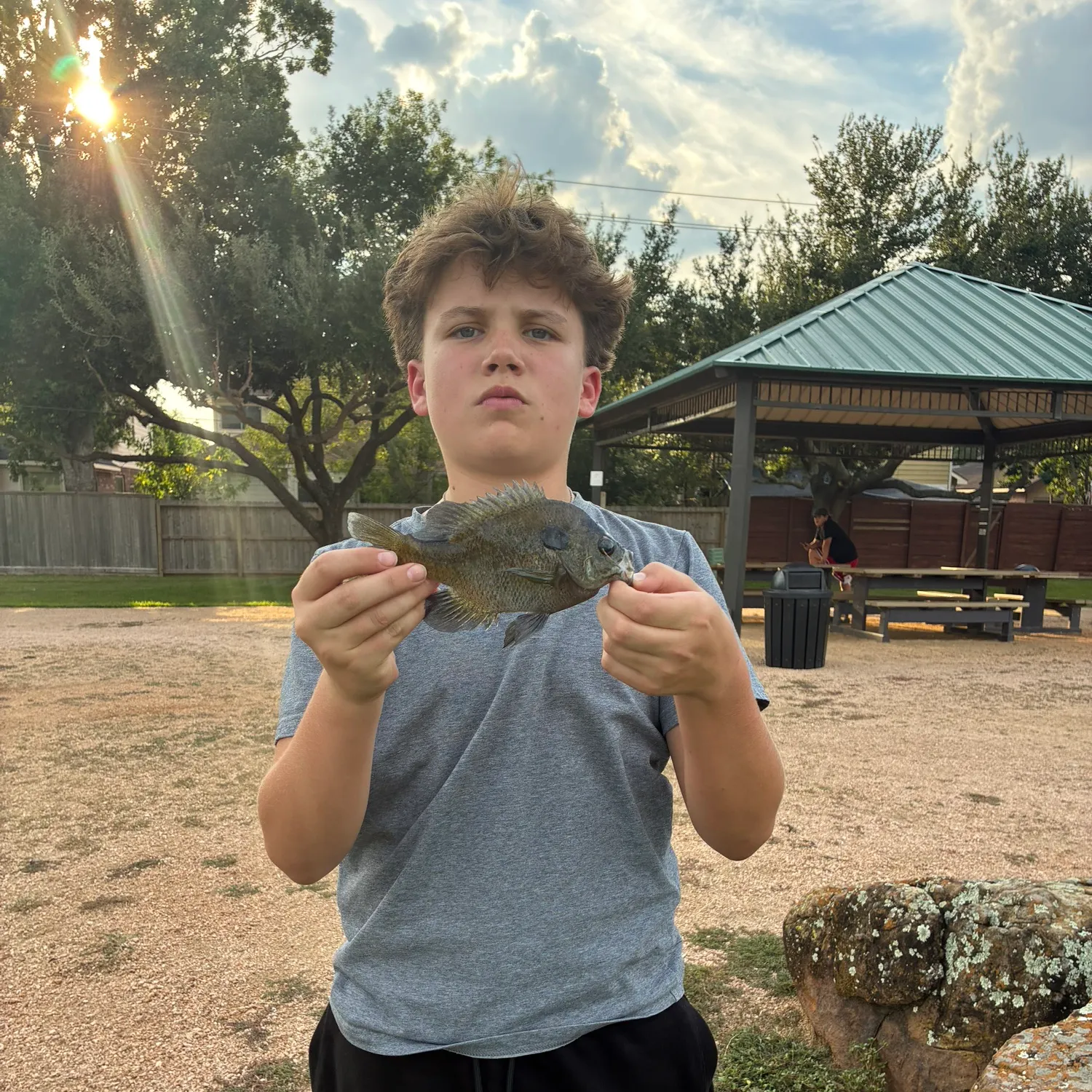 Warmouth caught on Fishbrain