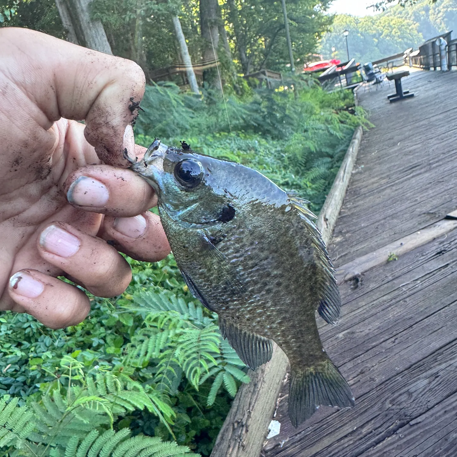 catch