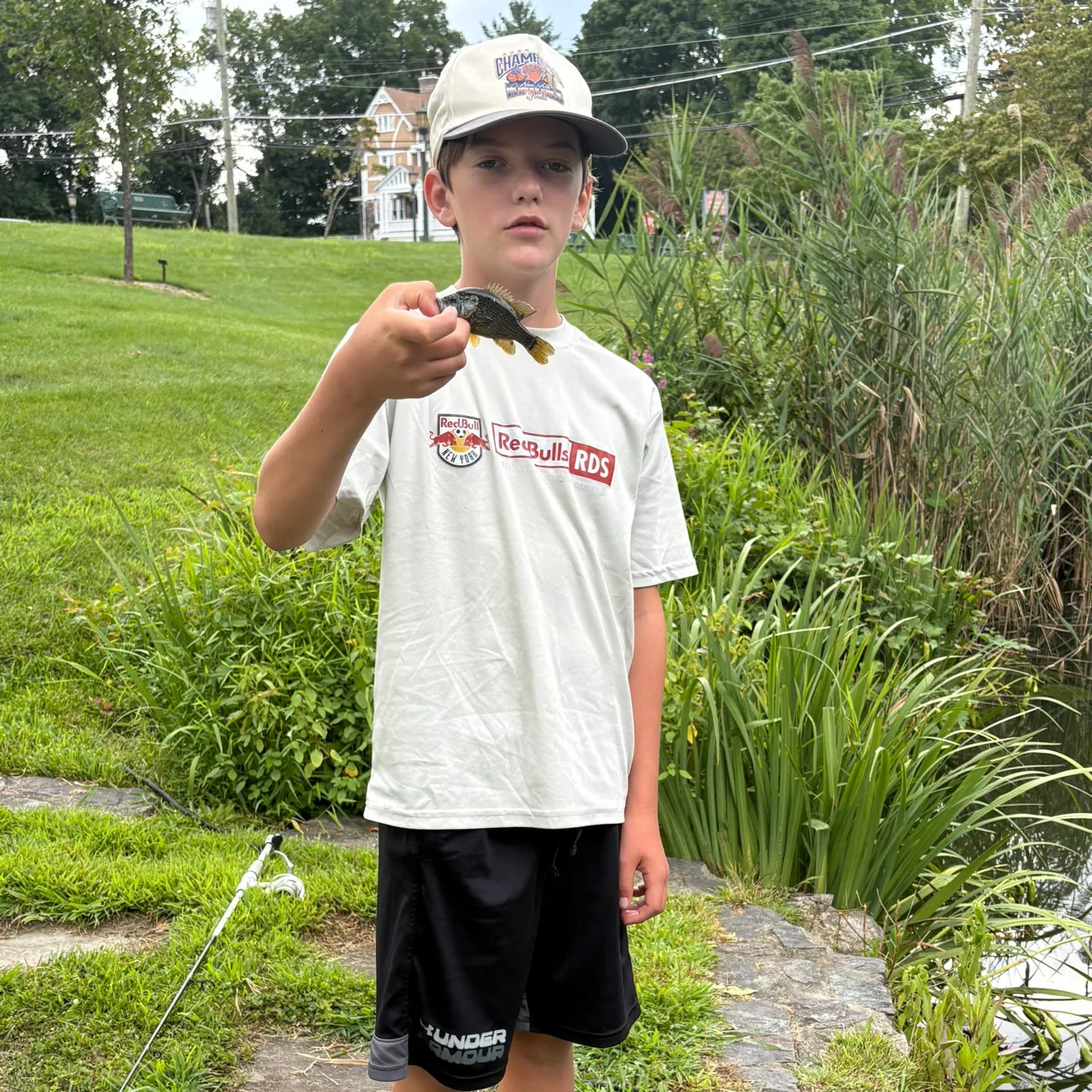 The most recent Warmouth x green sunfish catches on Fishbrain