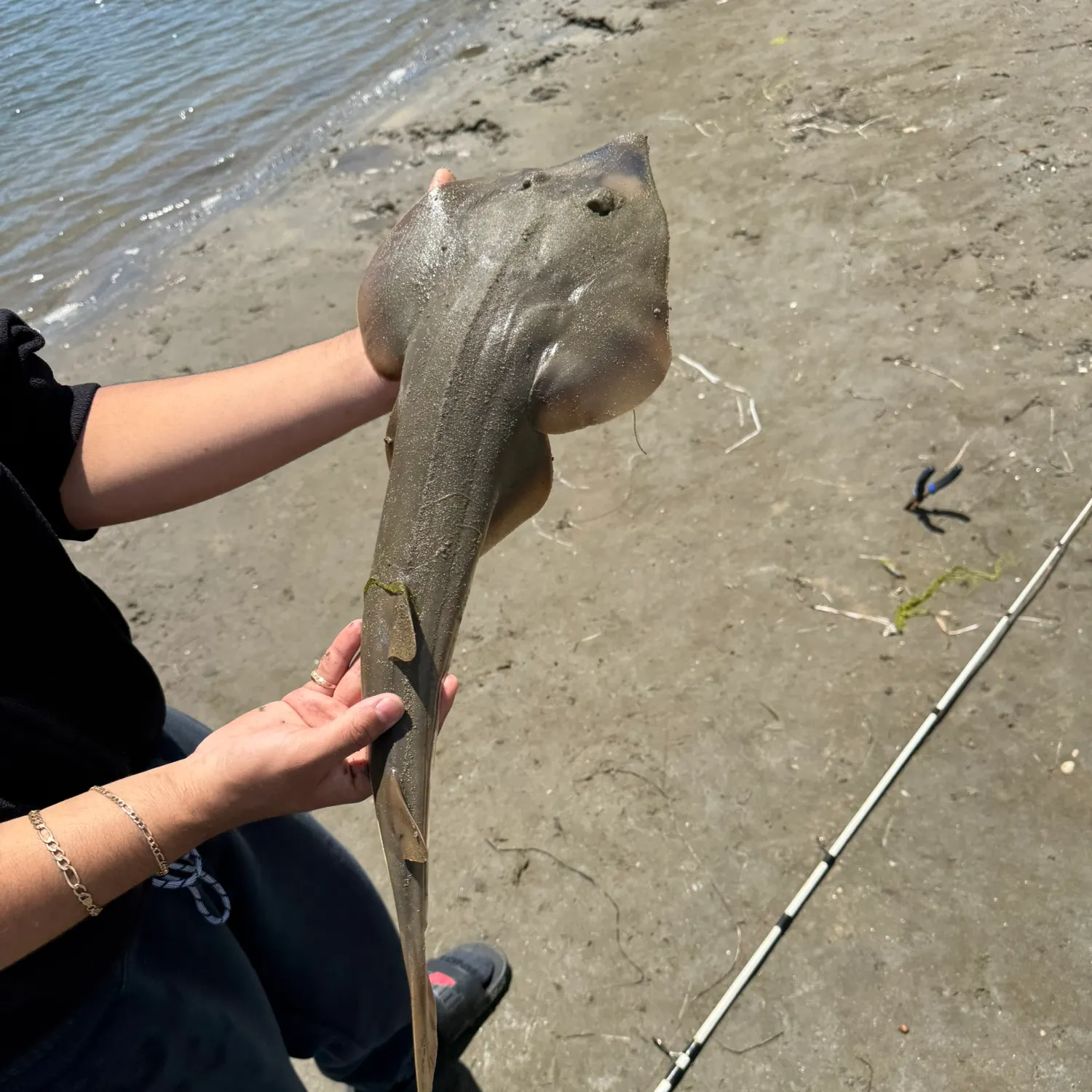 most liked catch image