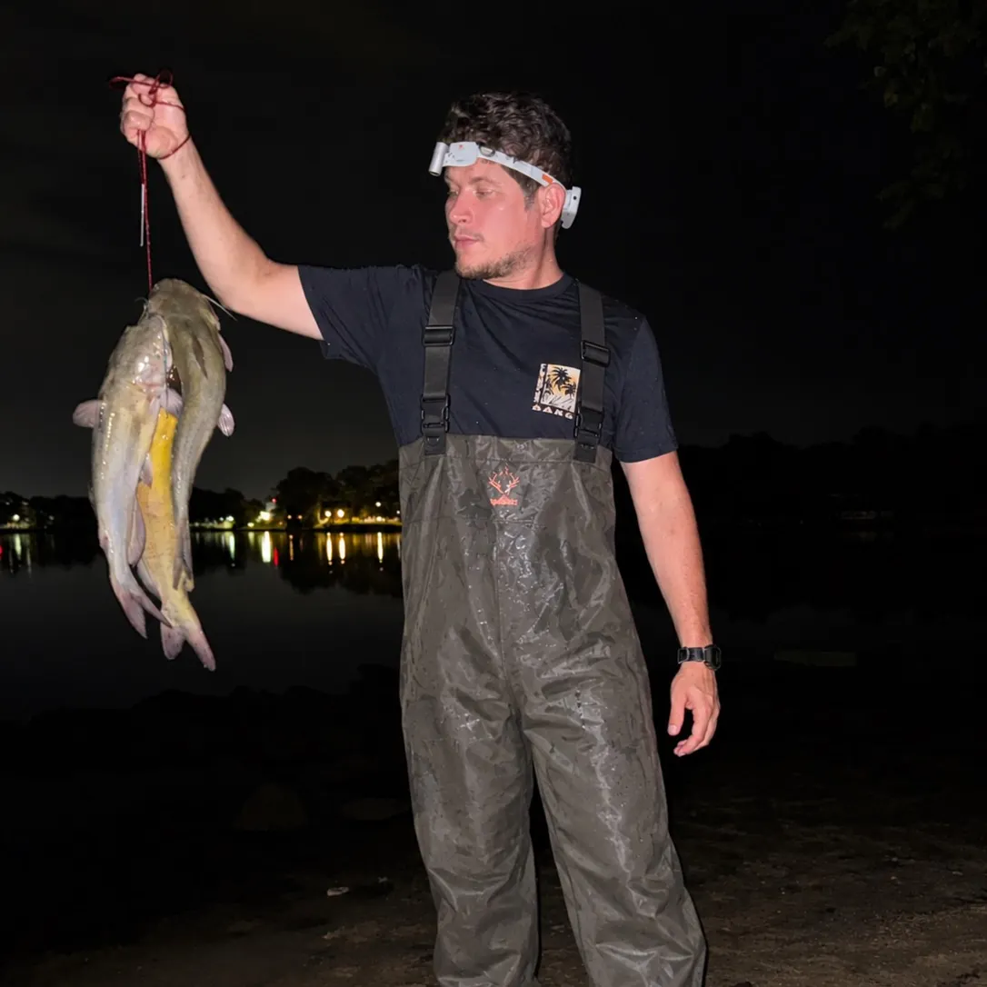 Channel catfish caught on Fishbrain