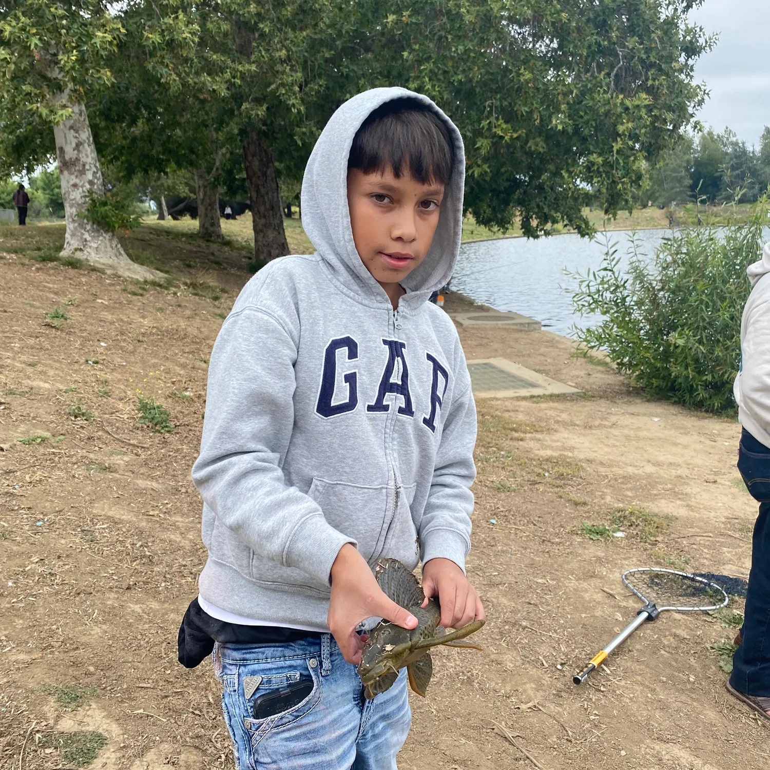 The most recent Orinoco sailfin catfish catches on Fishbrain