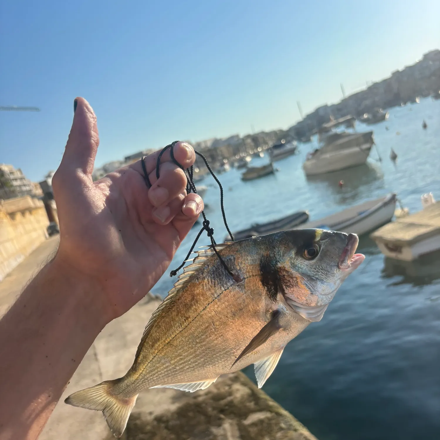 catch
