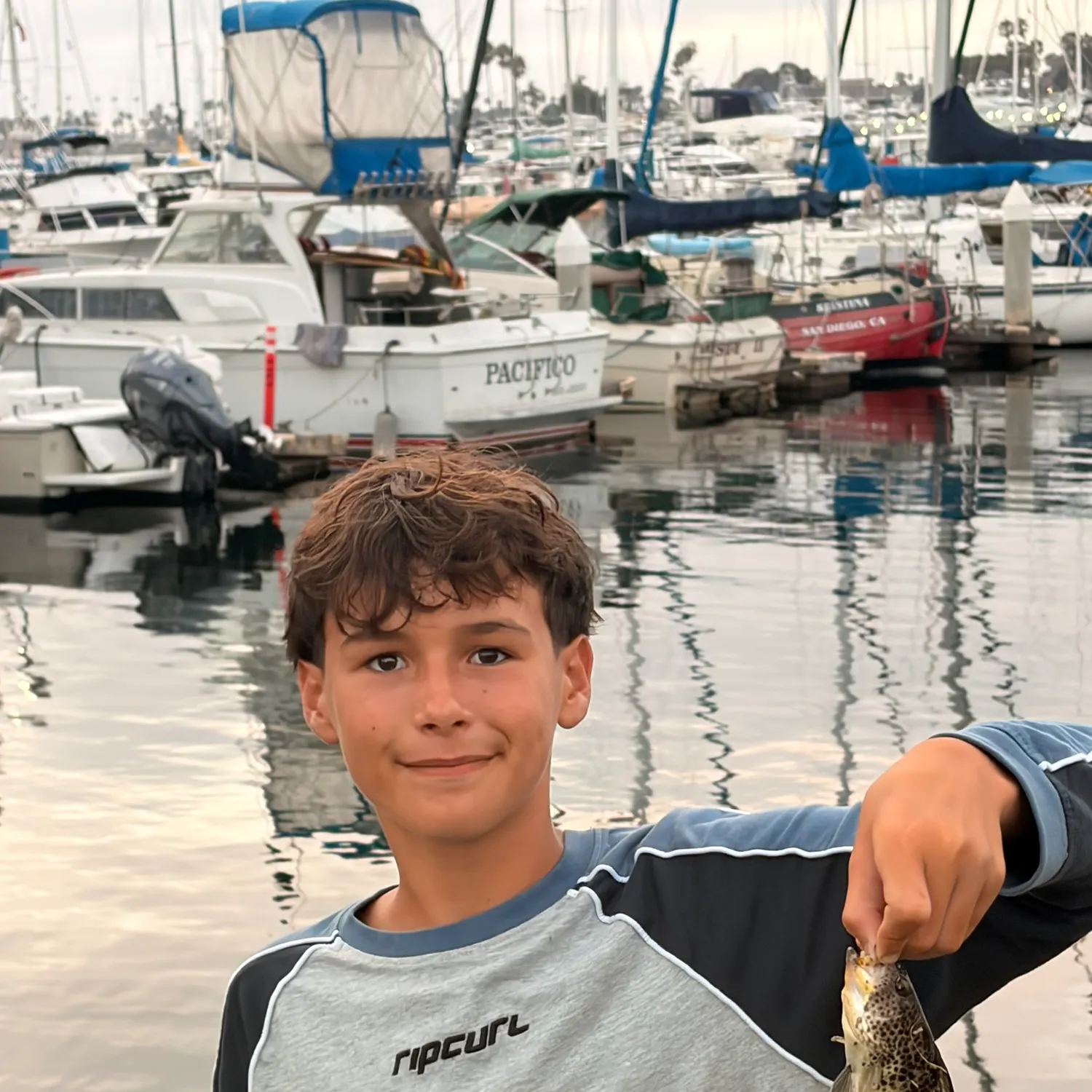 Spotted sand bass caught on Fishbrain