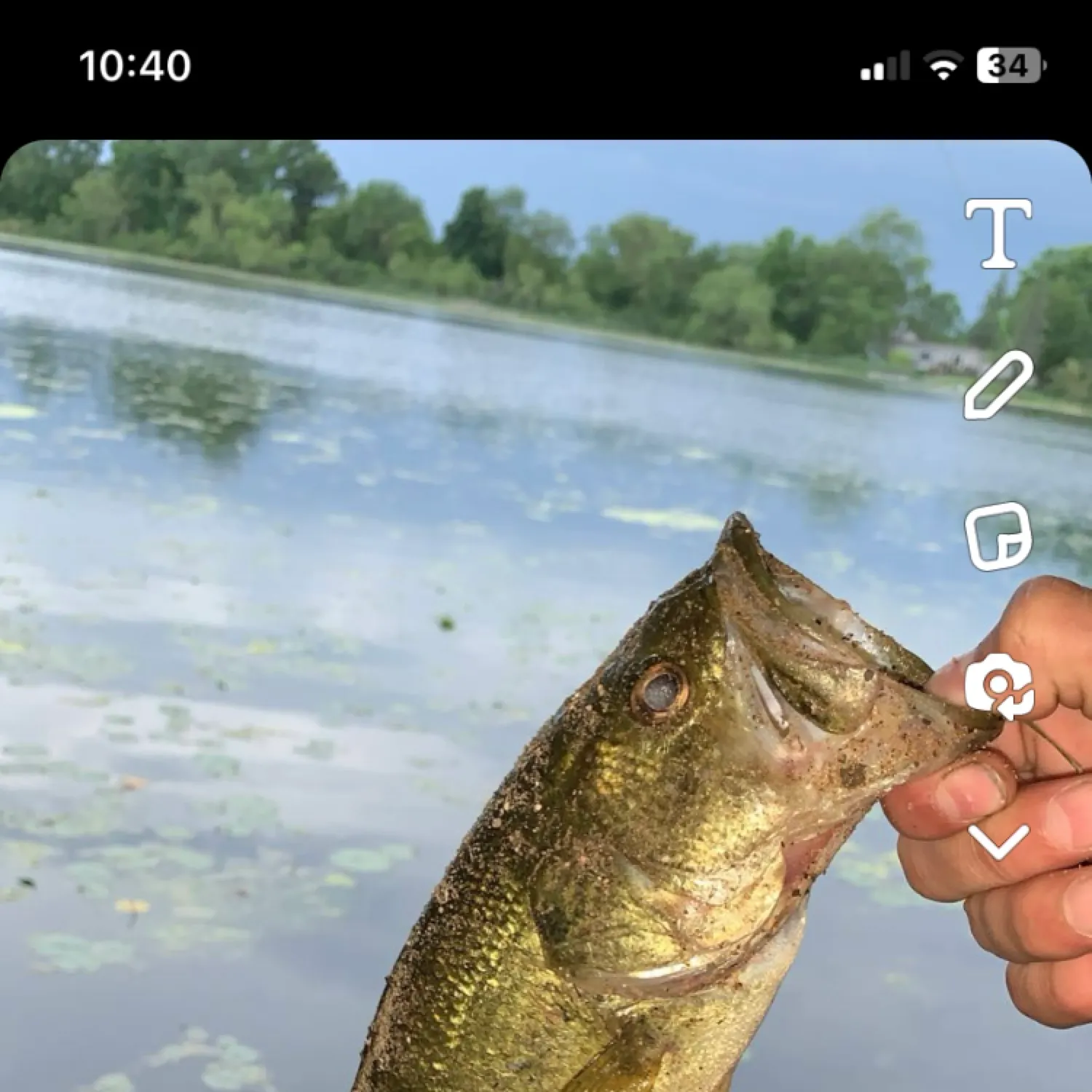 recently logged catches