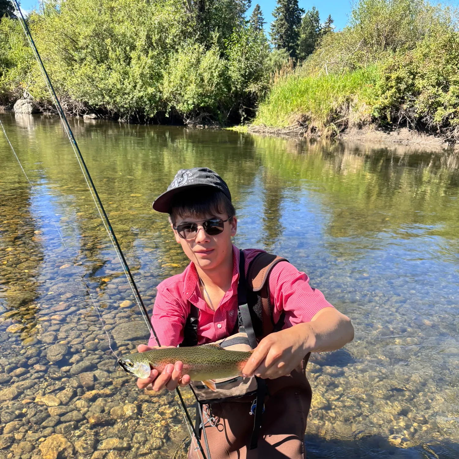 Rainbow trout caught on Fishbrain