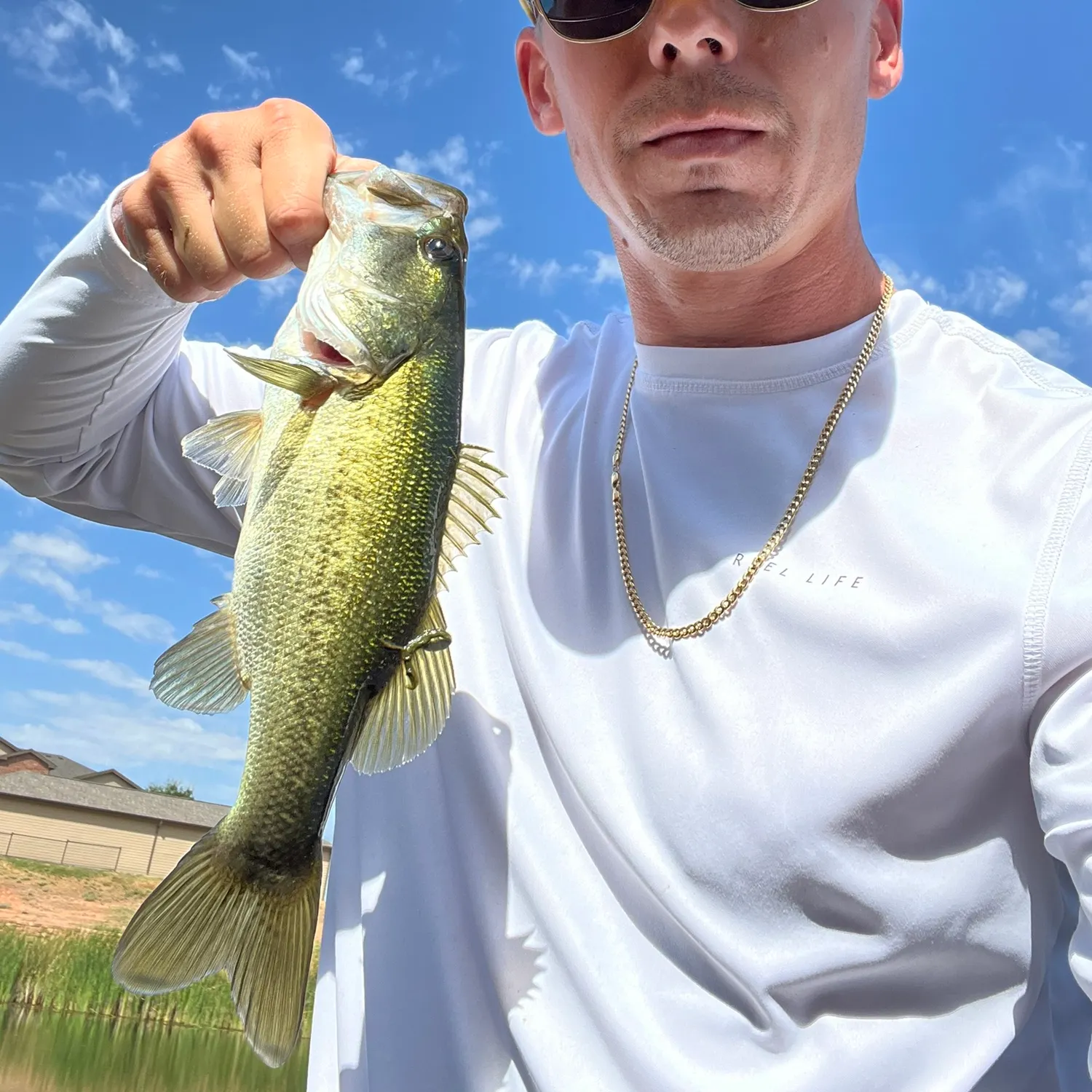 Largemouth bass caught on Fishbrain