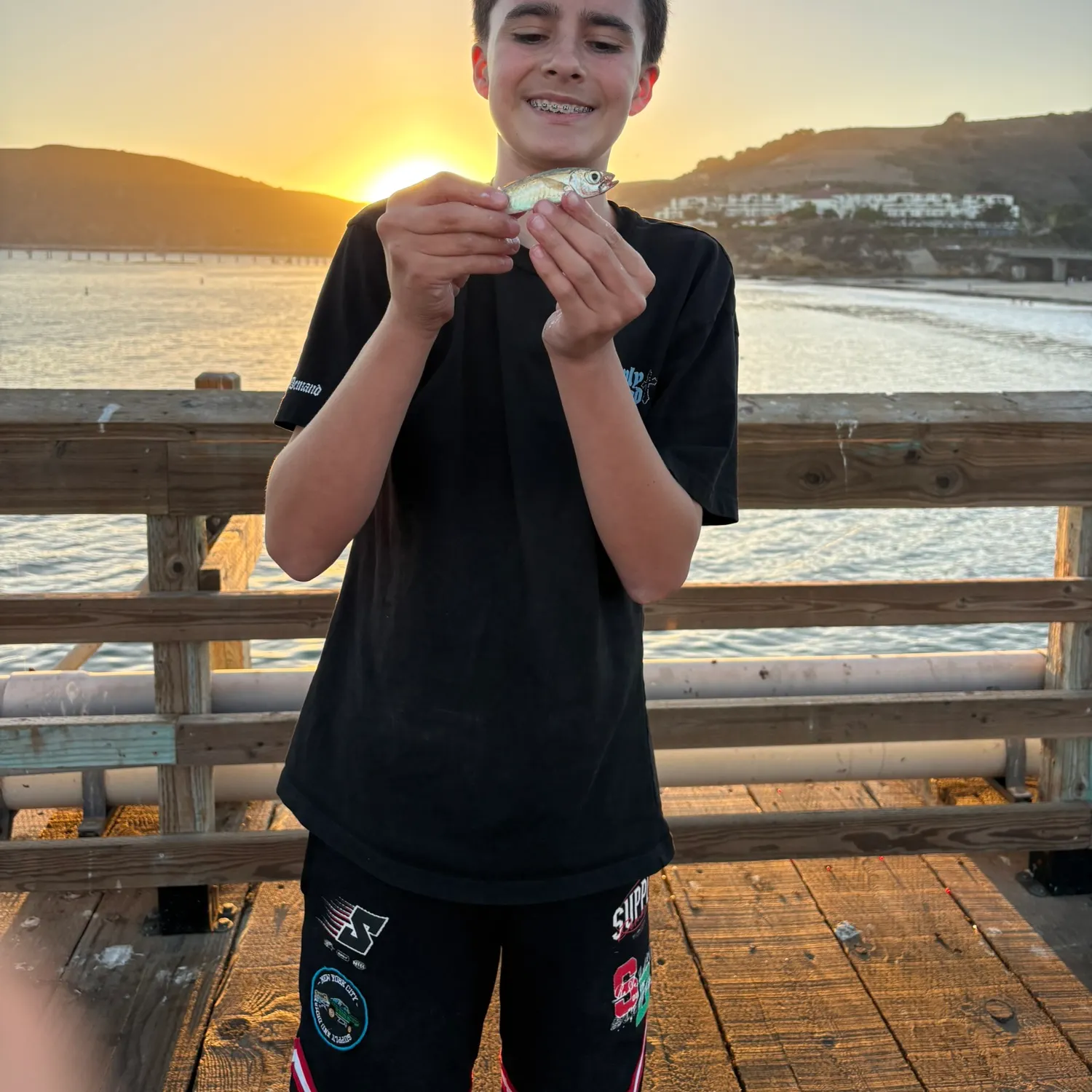 Pacific chub mackerel caught on Fishbrain