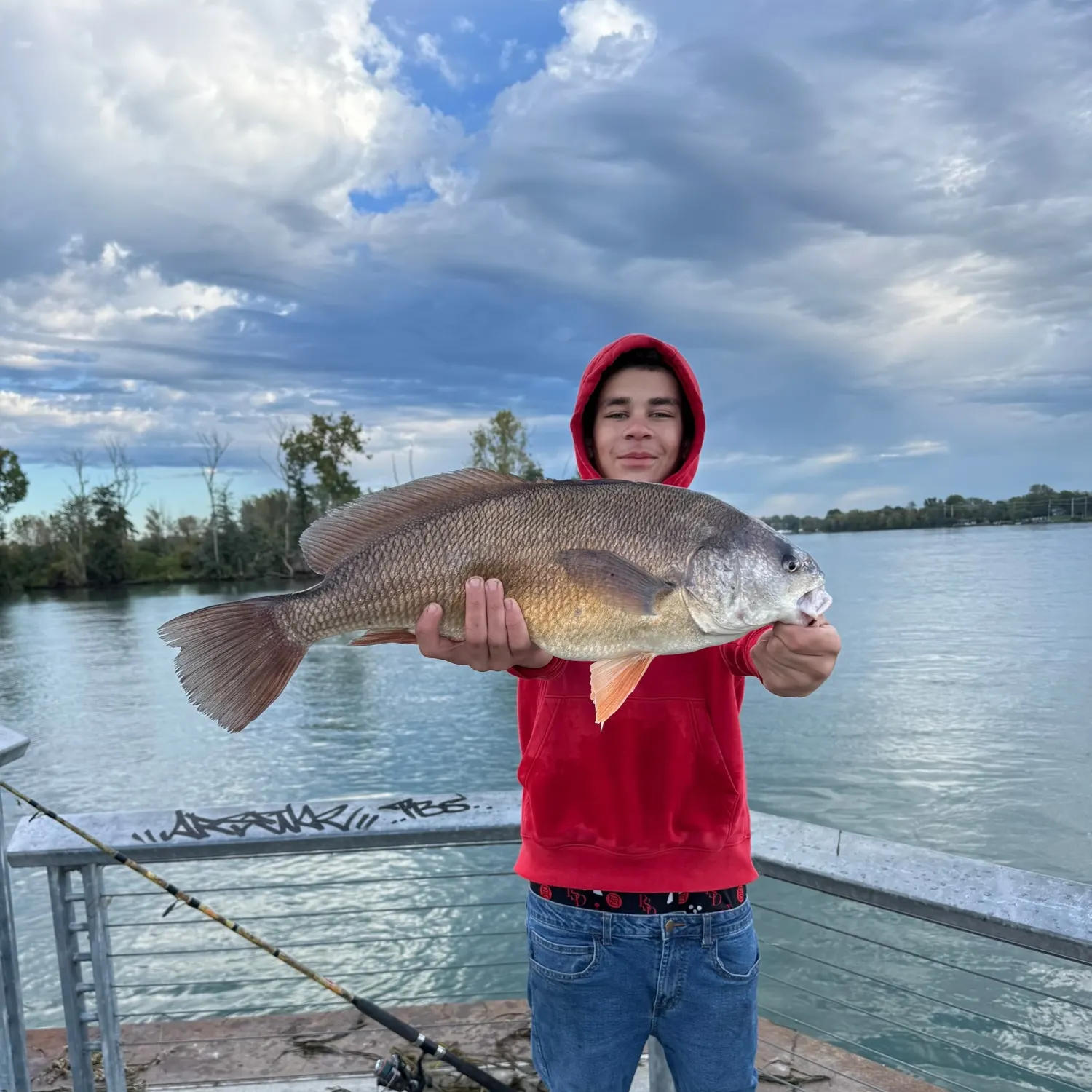 Freshwater drum caught on Fishbrain
