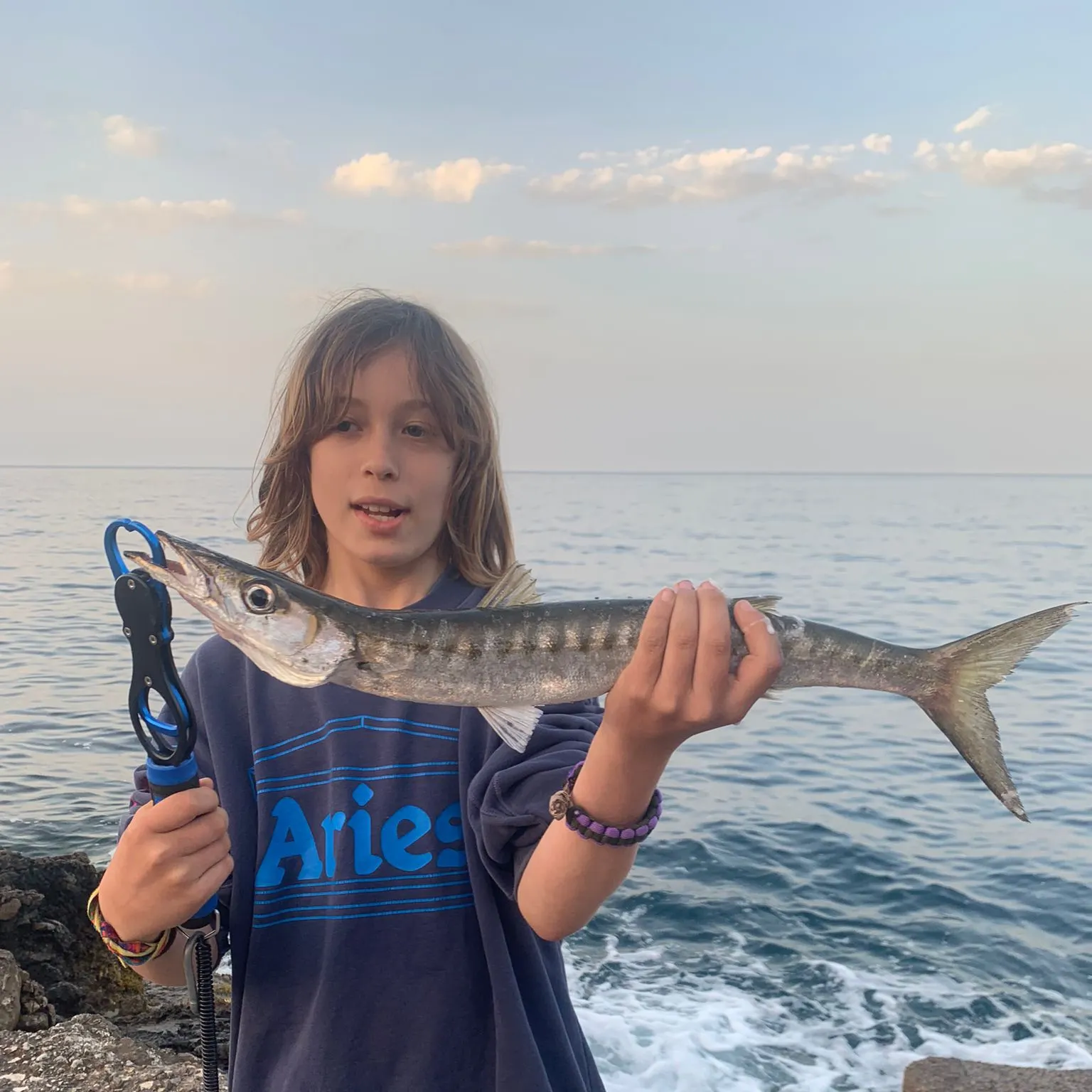 The most recent Pacific barracuda catches on Fishbrain