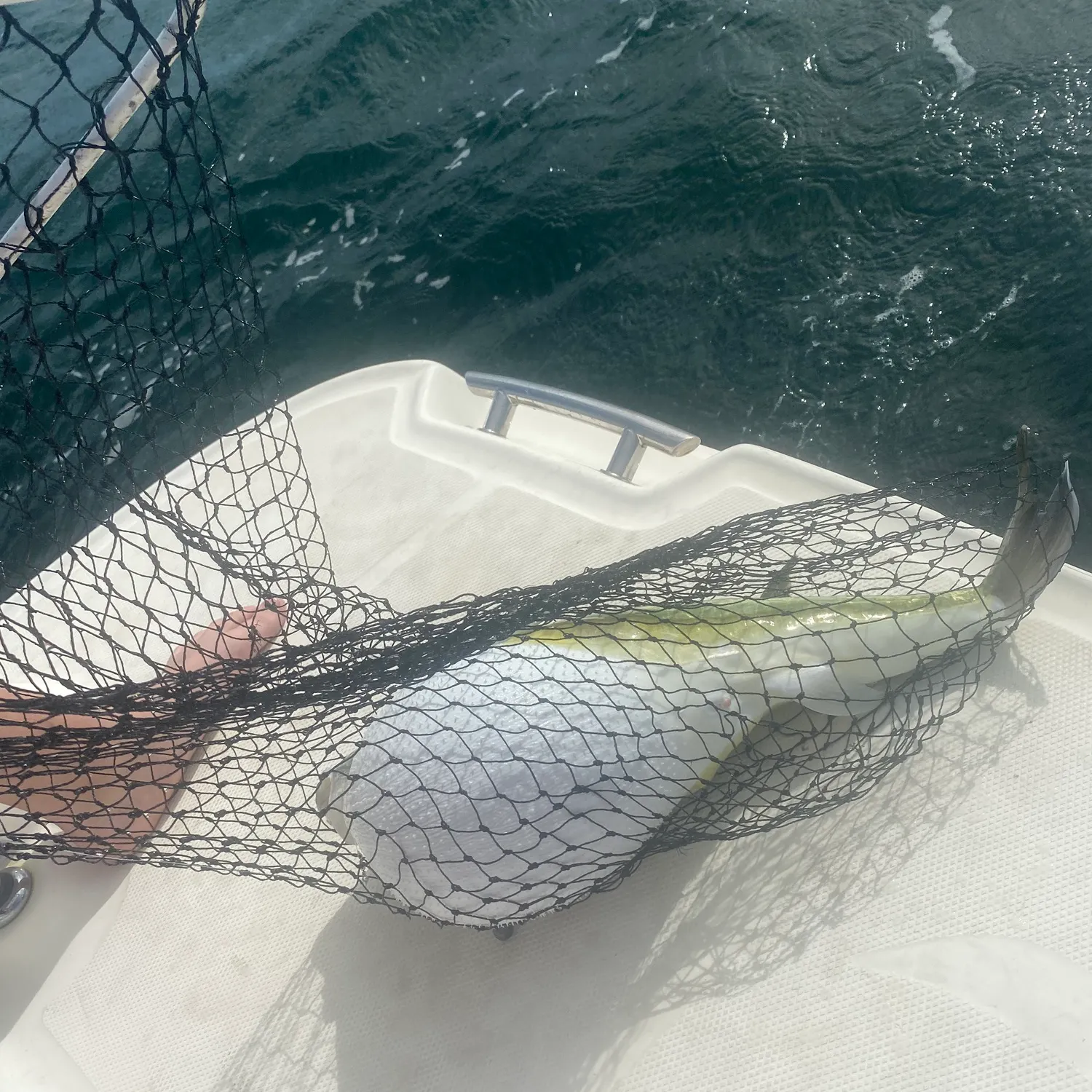 The most recent Oceanic puffer catches on Fishbrain