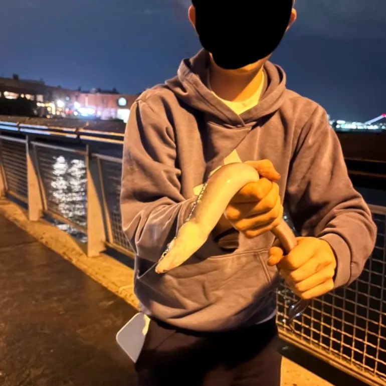 The most recent American eel catches on Fishbrain