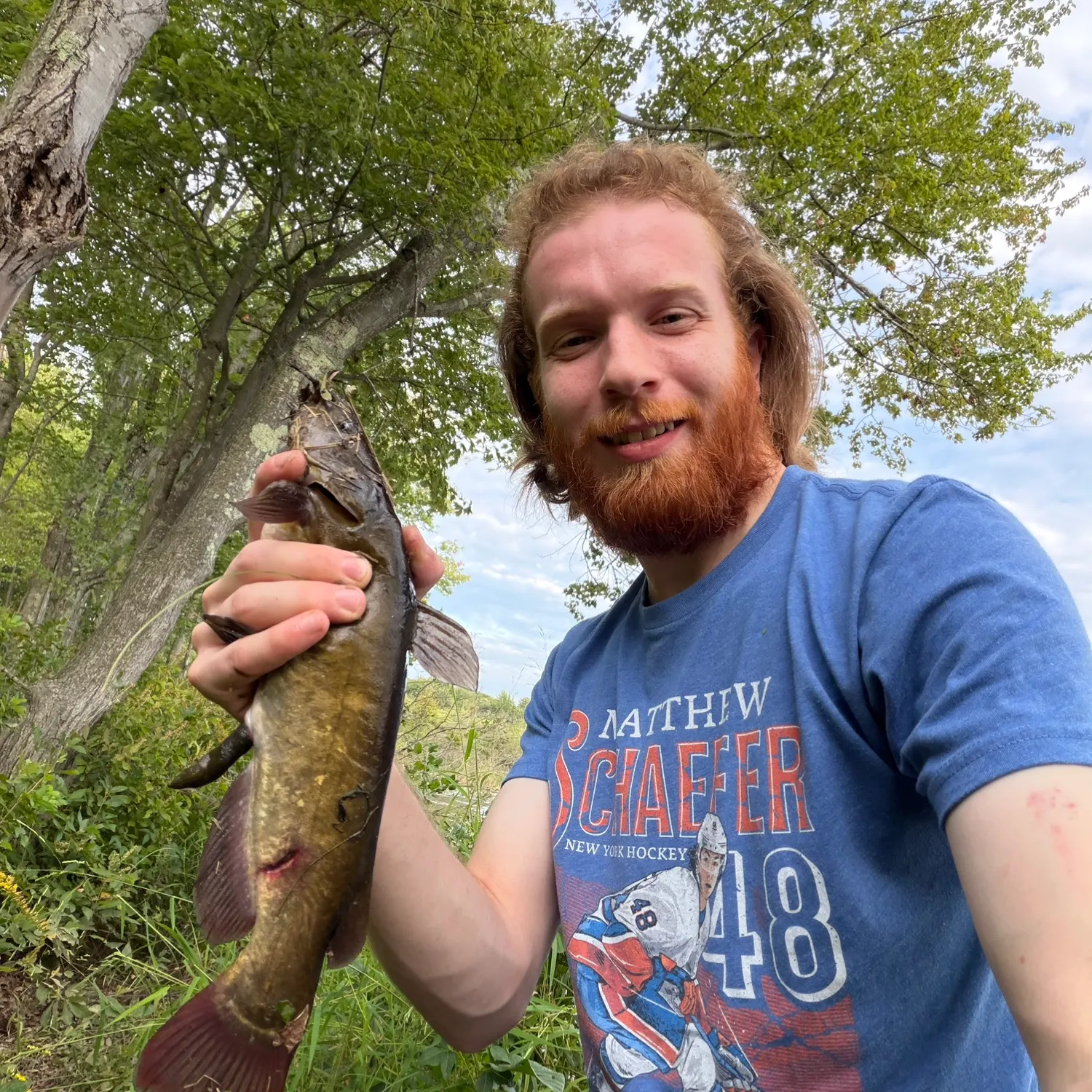Brown bullhead caught on Fishbrain