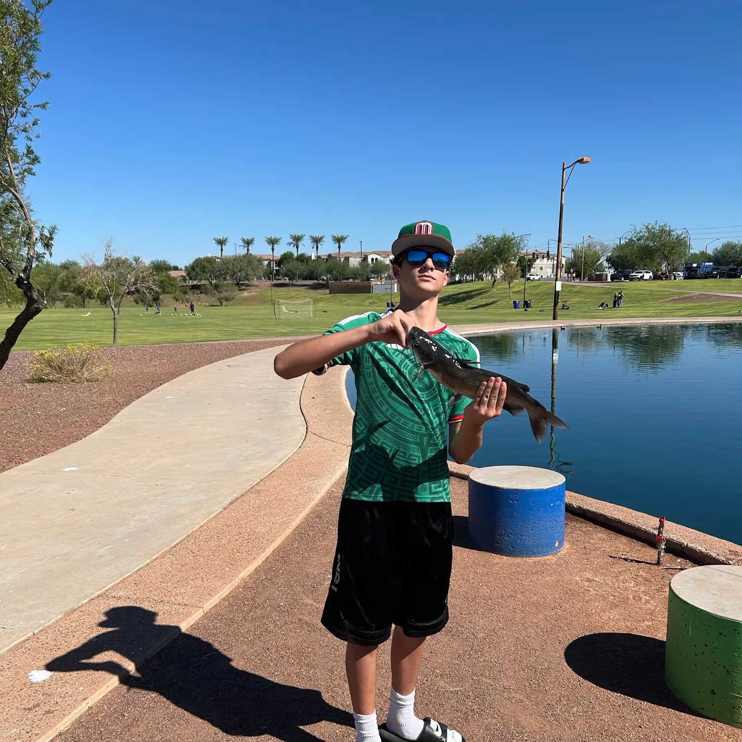 Channel catfish caught on Fishbrain