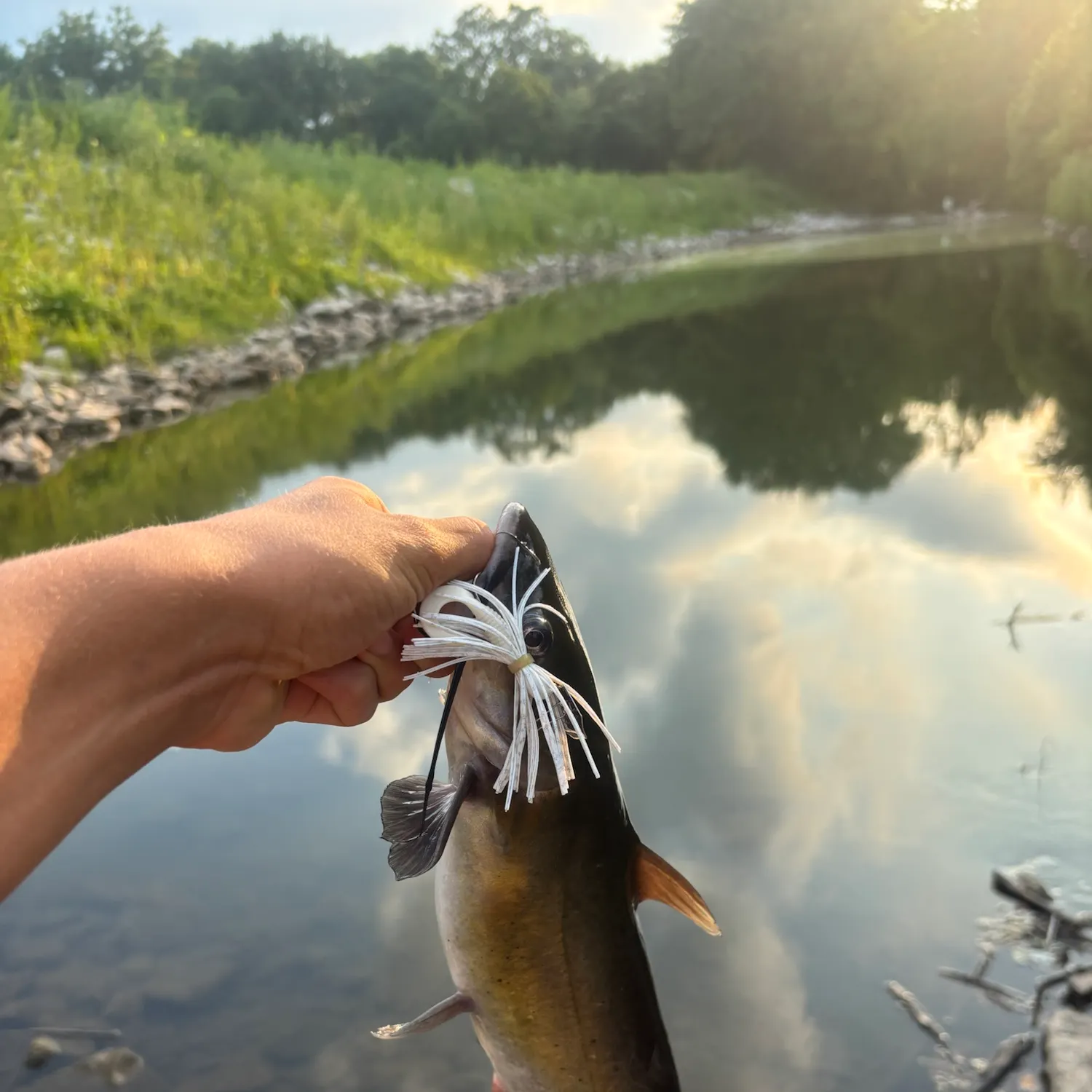 catch