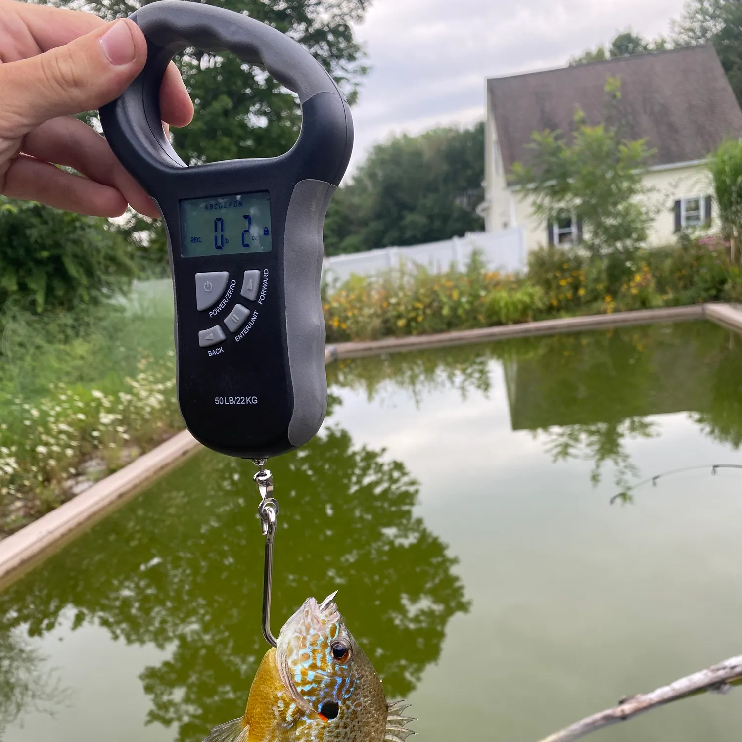 recently logged catches