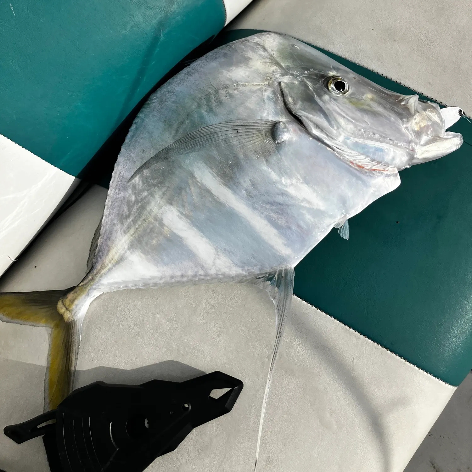most liked catch image