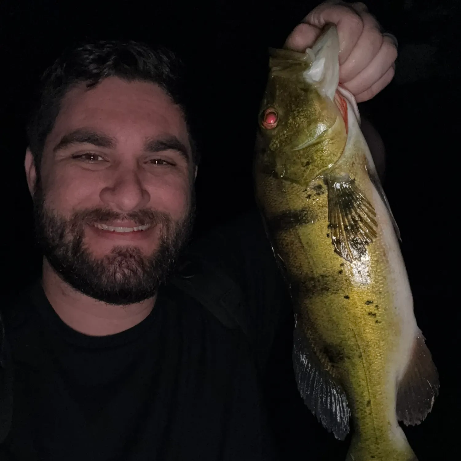 The most recent Butterfly peacock bass catches on Fishbrain
