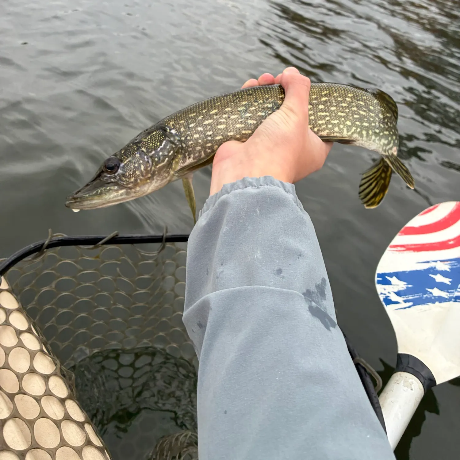 Northern pike caught on Fishbrain