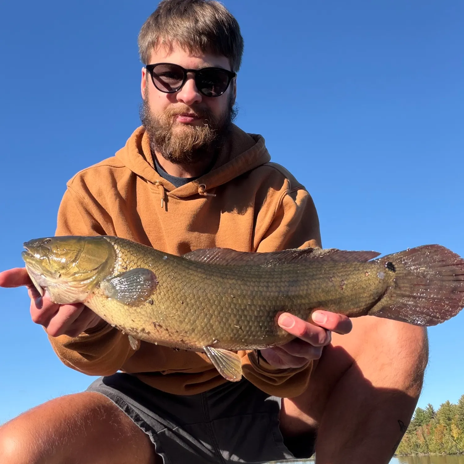Eyetail bowfin caught on Fishbrain