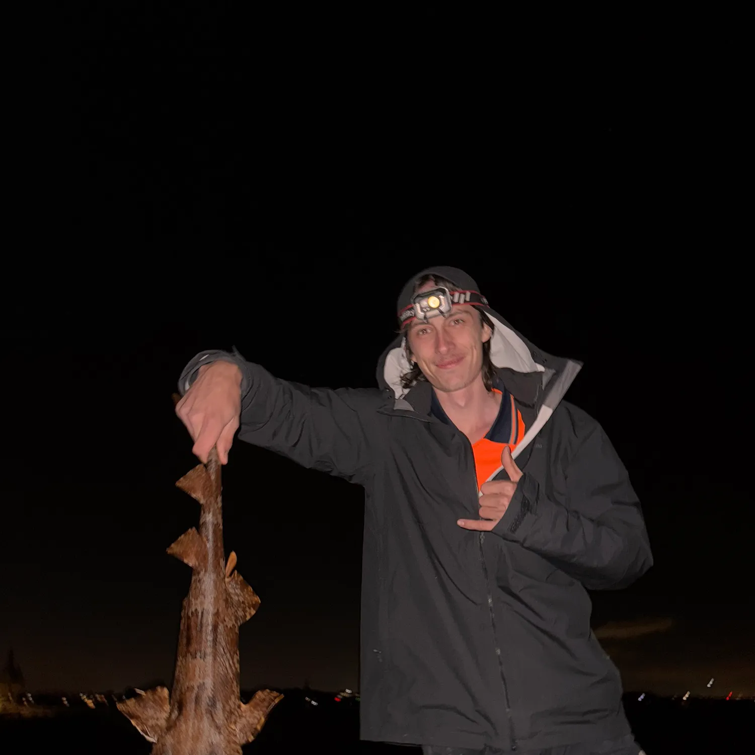The most recent Spotted wobbegong catches on Fishbrain
