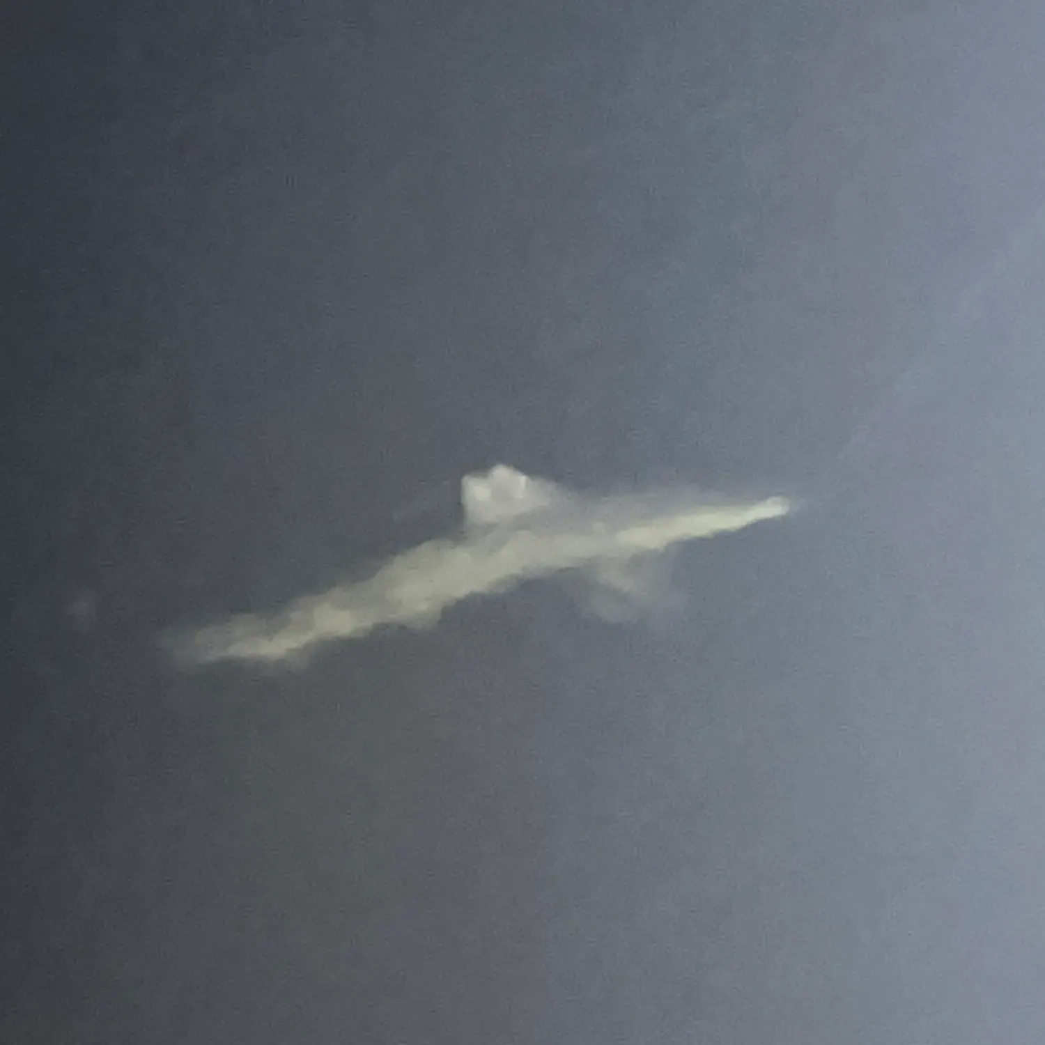 The most recent Bull shark catches on Fishbrain