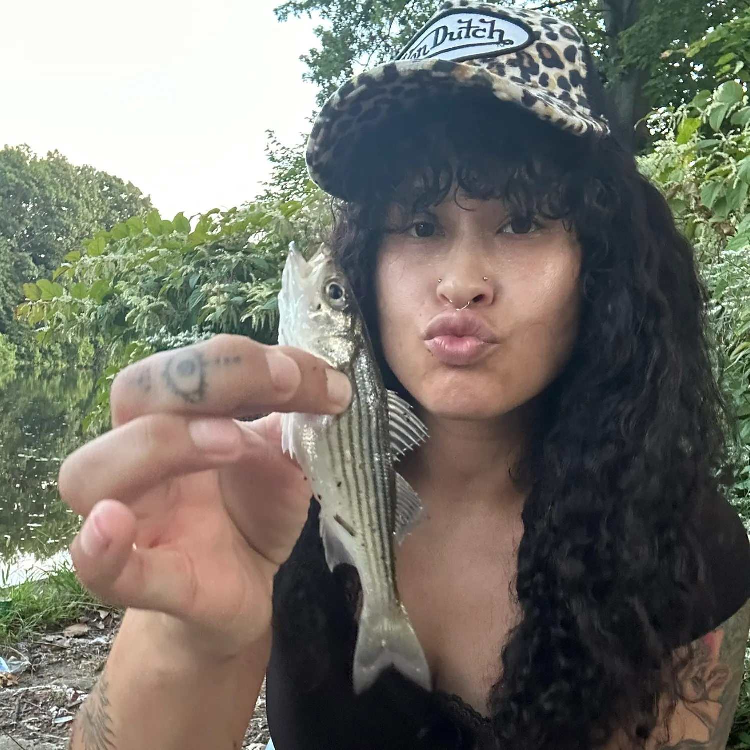 Striped bass caught on Fishbrain