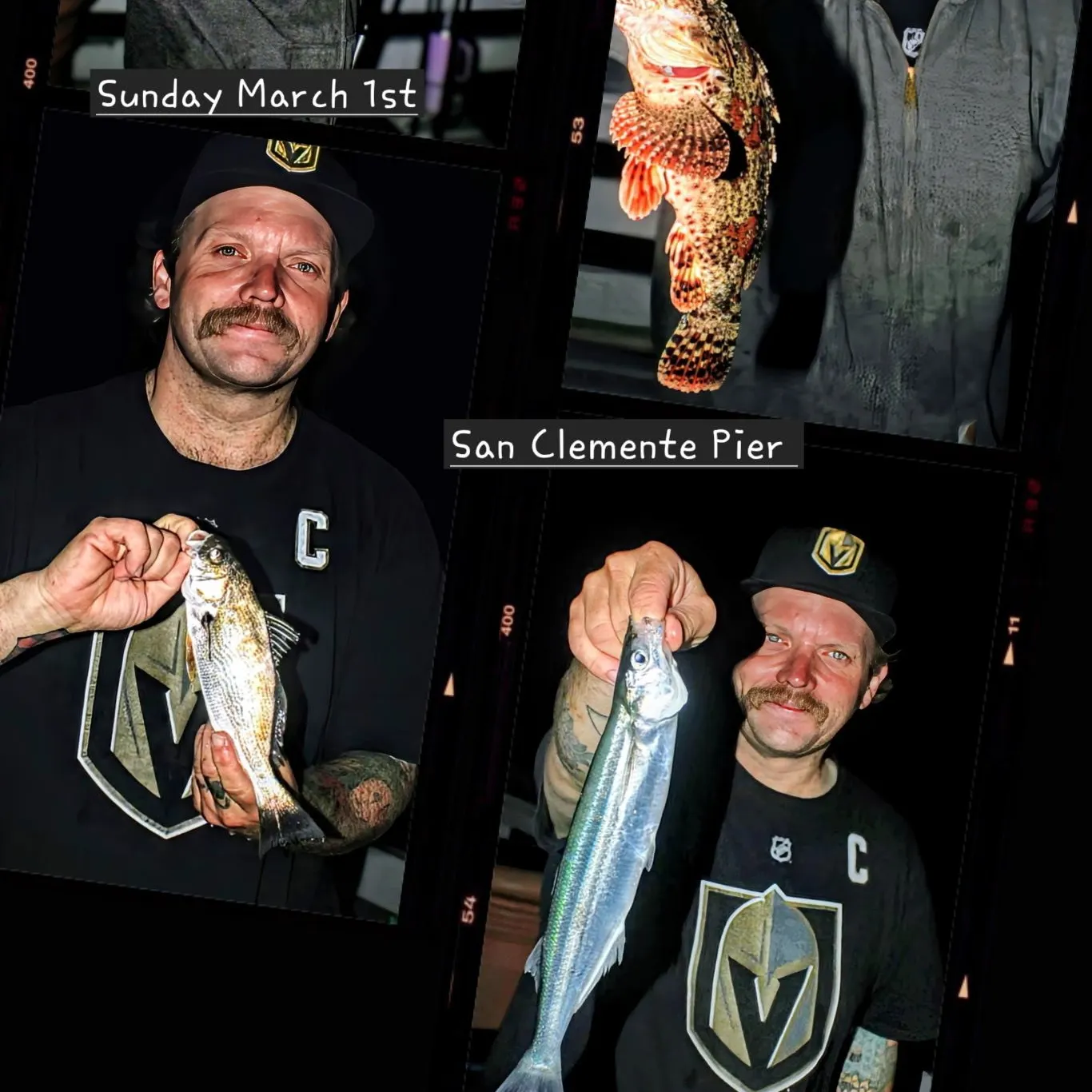 recently logged catches