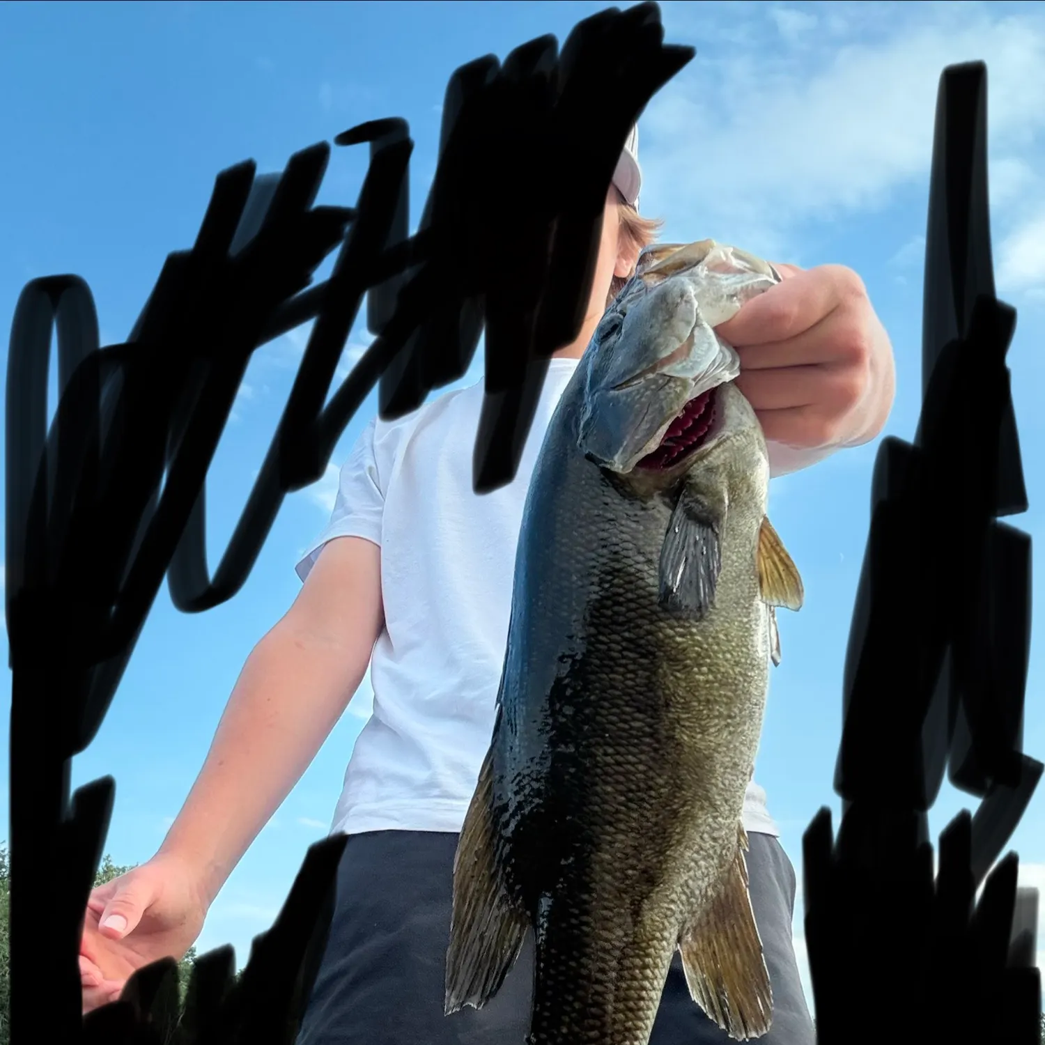 Smallmouth bass caught on Fishbrain