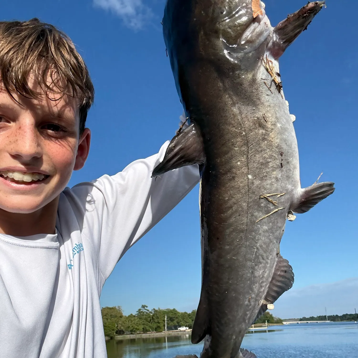 Channel catfish caught on Fishbrain