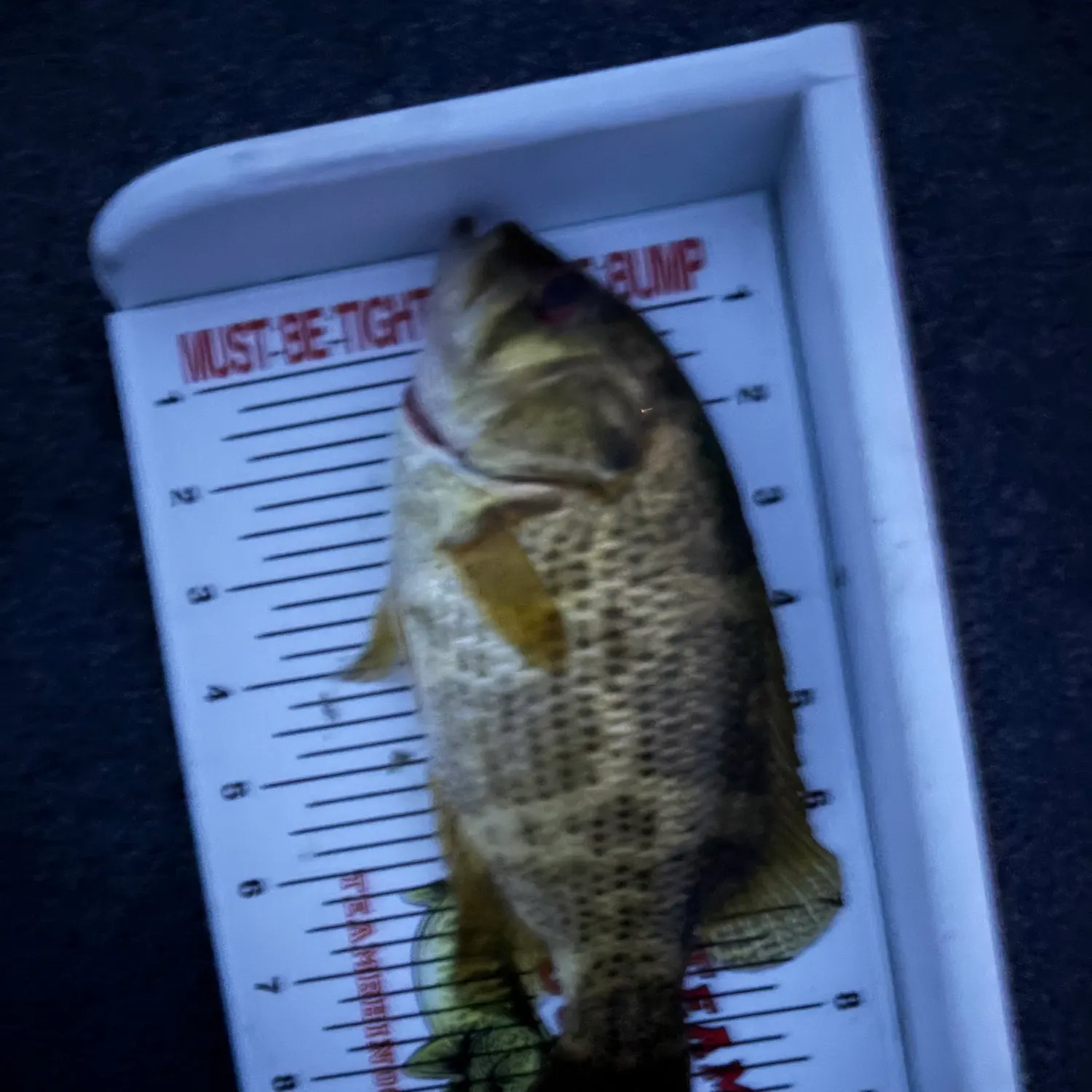 Fish caught on Fishbrain
